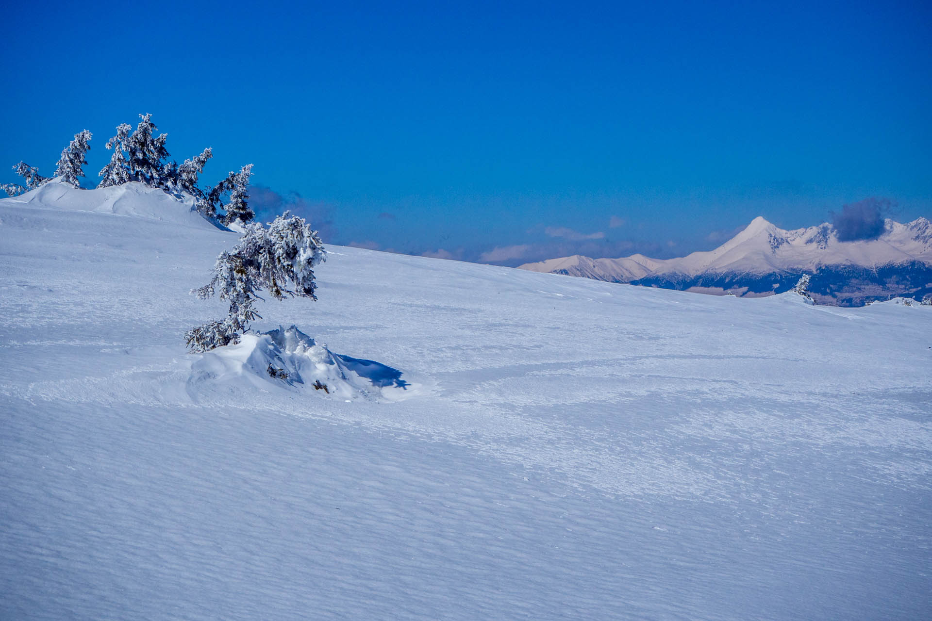 Veľkonočná Veľká Vápenica z Heľpy (Nízke Tatry)