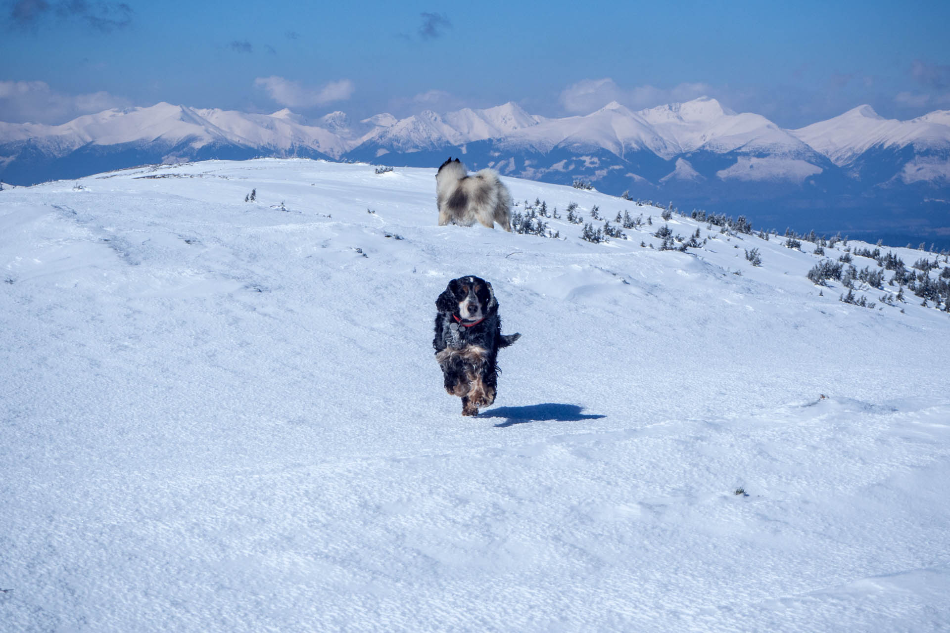 Veľkonočná Veľká Vápenica z Heľpy (Nízke Tatry)