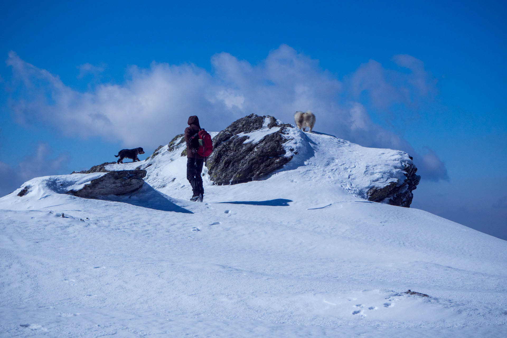 Veľkonočná Veľká Vápenica z Heľpy (Nízke Tatry)