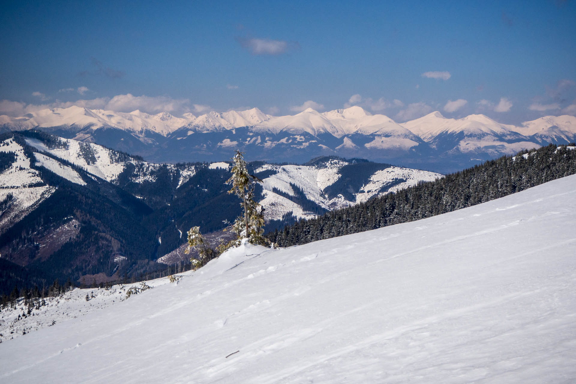 Veľkonočná Veľká Vápenica z Heľpy (Nízke Tatry)