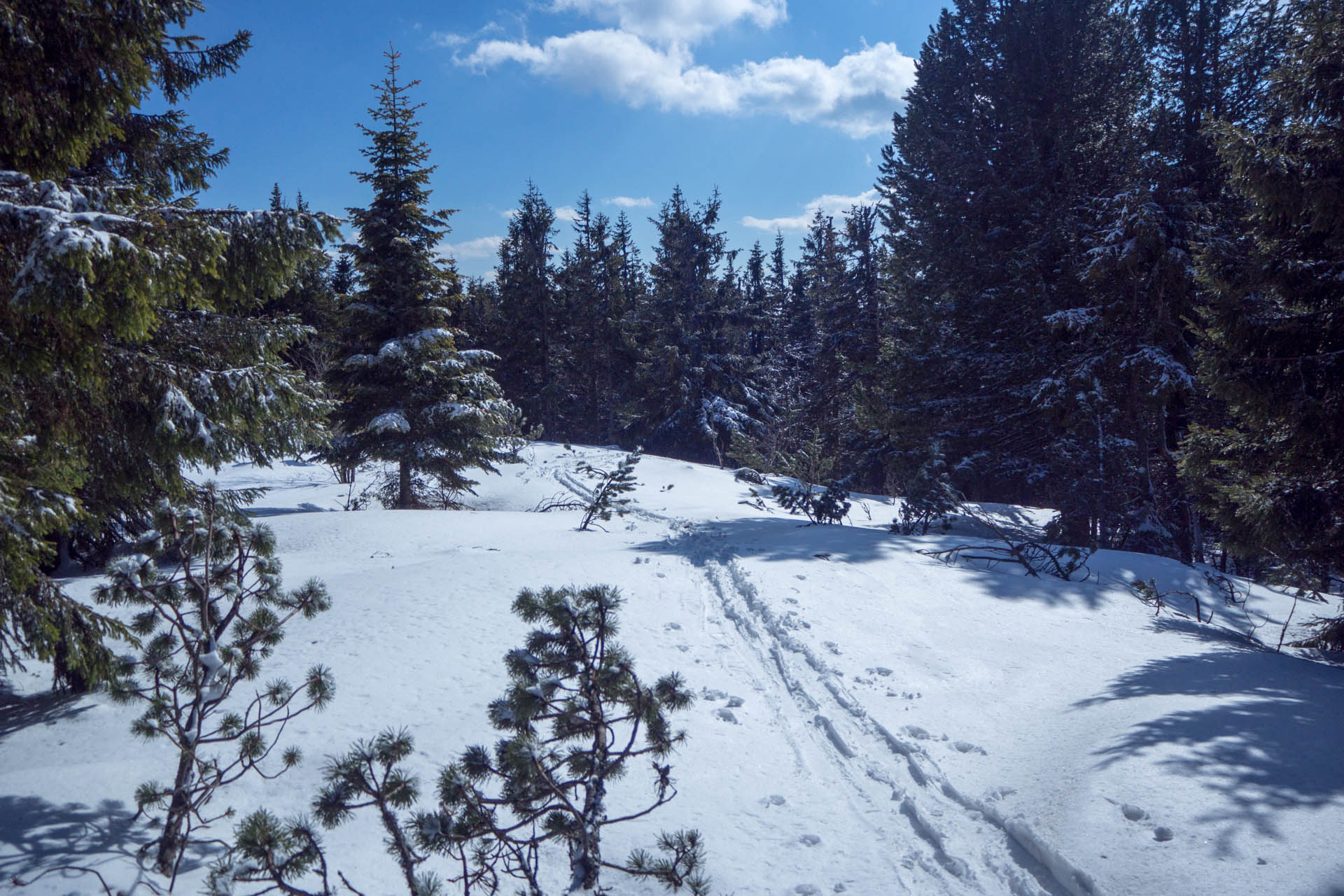 Veľkonočná Veľká Vápenica z Heľpy (Nízke Tatry)