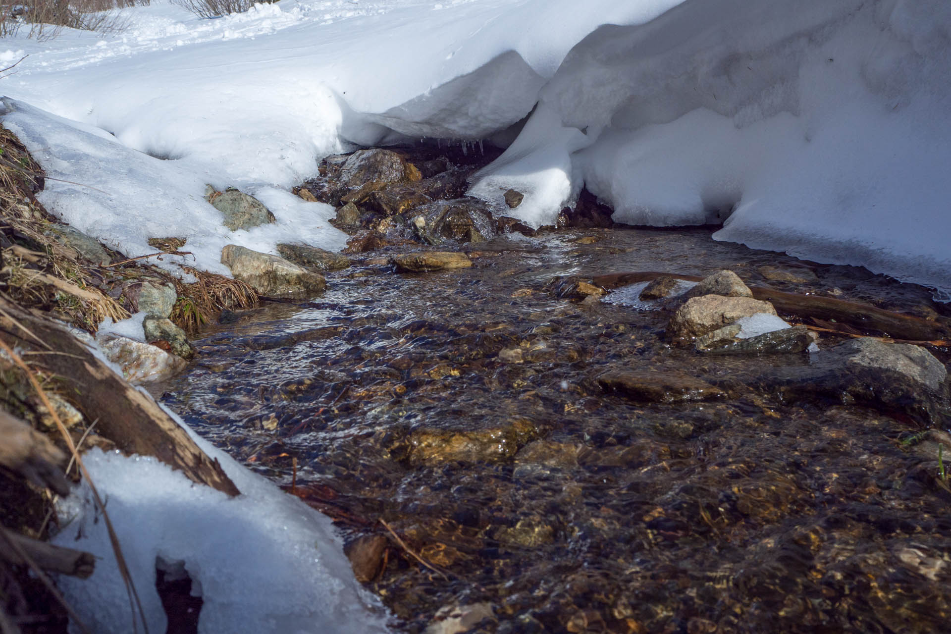 Veľkonočná Veľká Vápenica z Heľpy (Nízke Tatry)