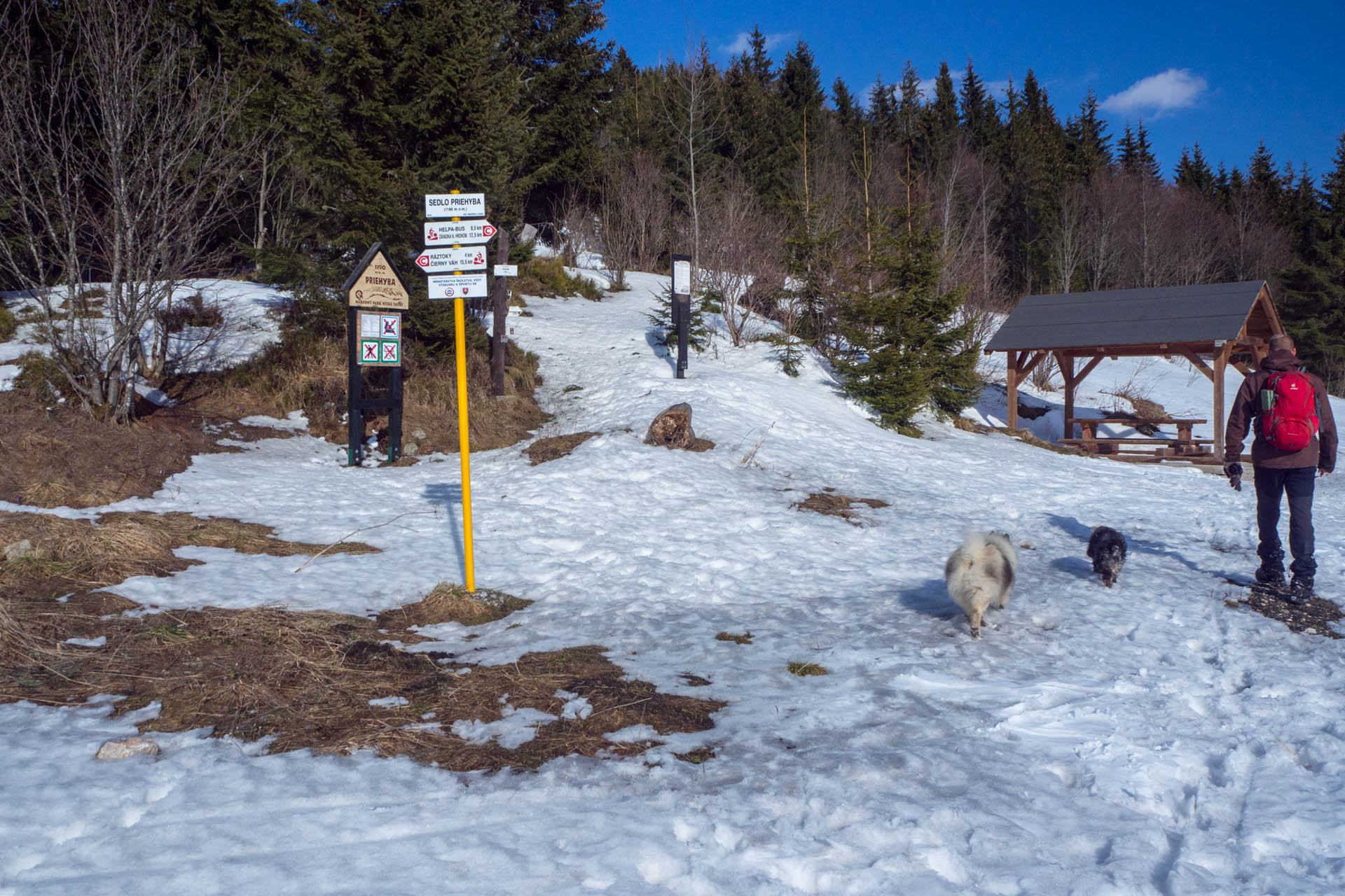 Veľkonočná Veľká Vápenica z Heľpy (Nízke Tatry)