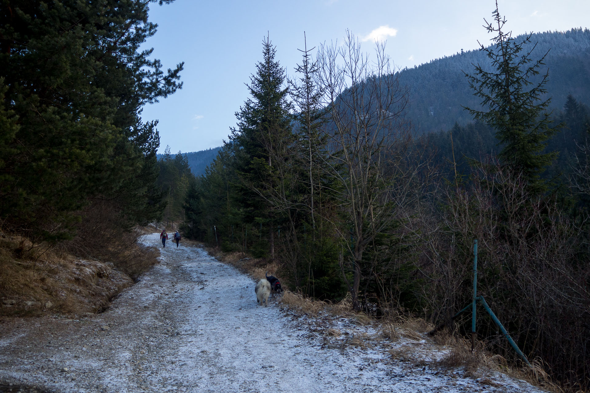 Veľký Choč z Valaskej Dubovej (Chočské vrchy)