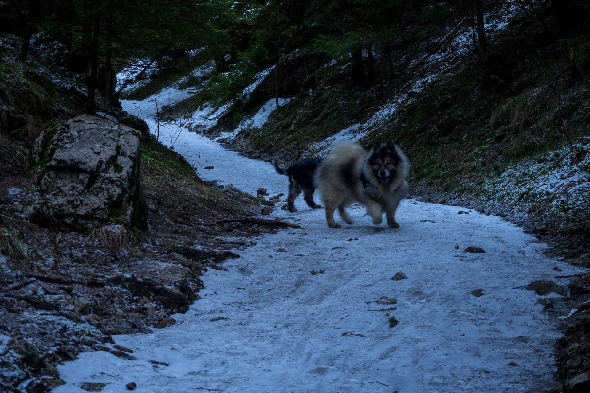 Veľký Choč z Valaskej Dubovej (Chočské vrchy)