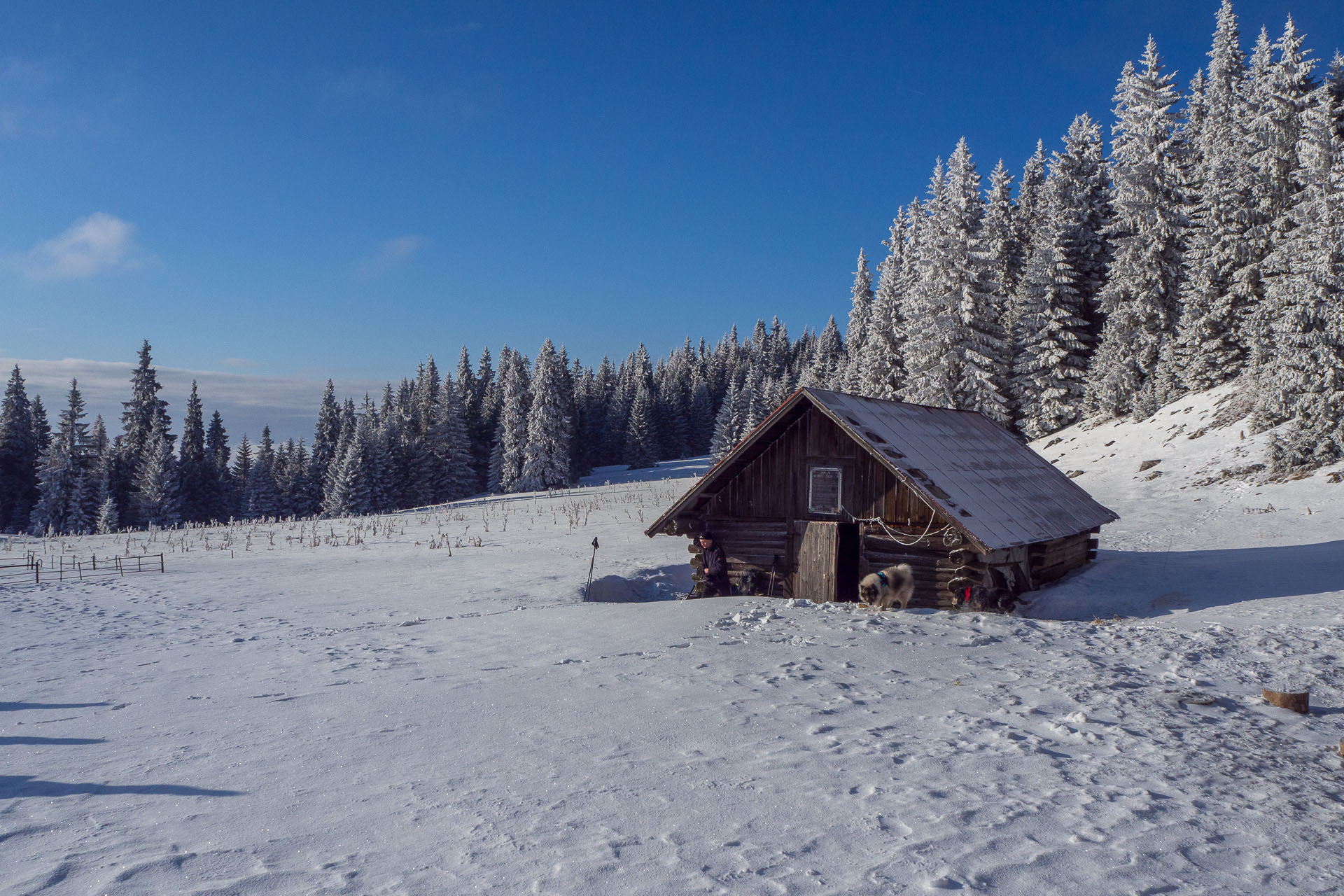 Veľký Choč z Valaskej Dubovej (Chočské vrchy)