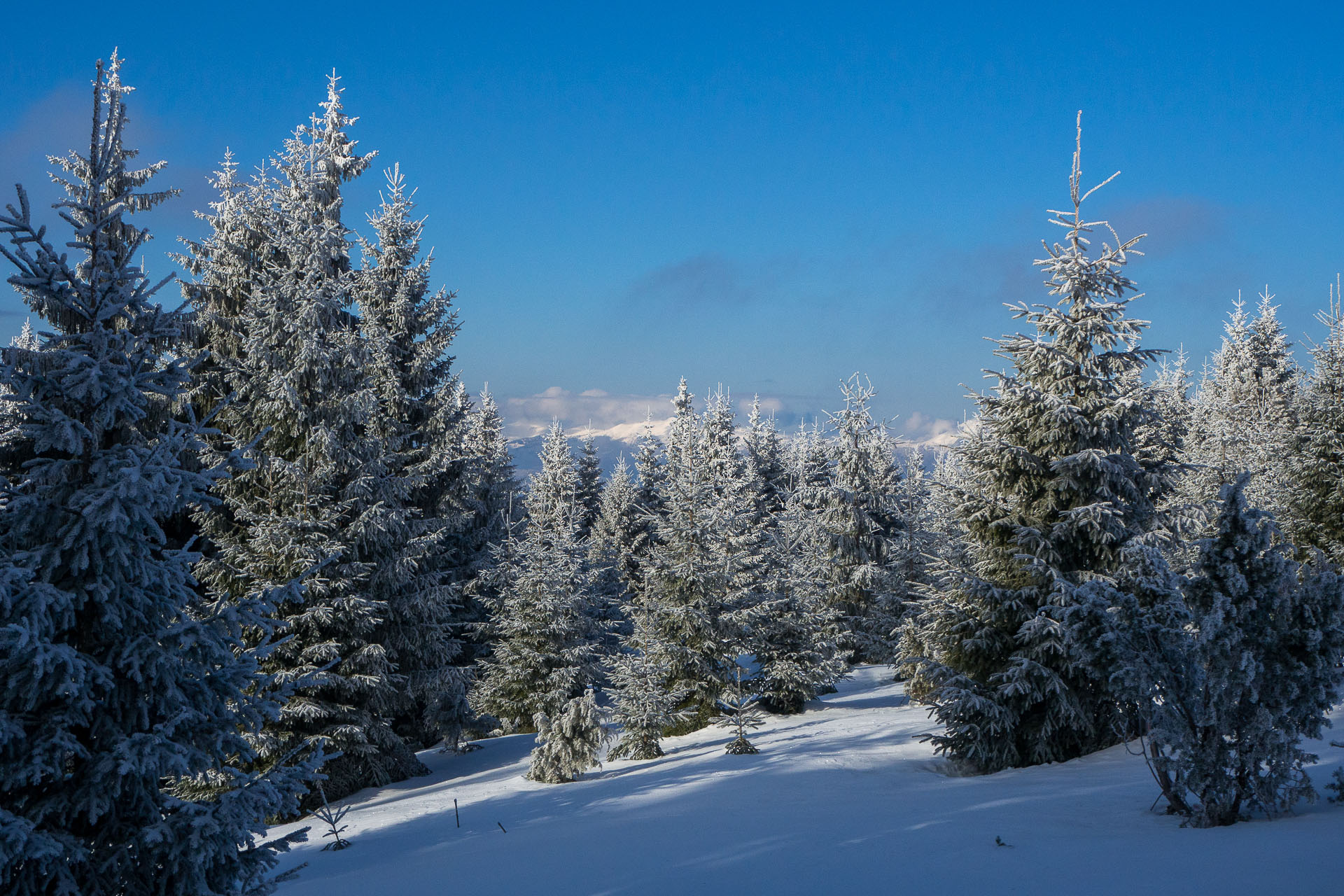 Veľký Choč z Valaskej Dubovej (Chočské vrchy)