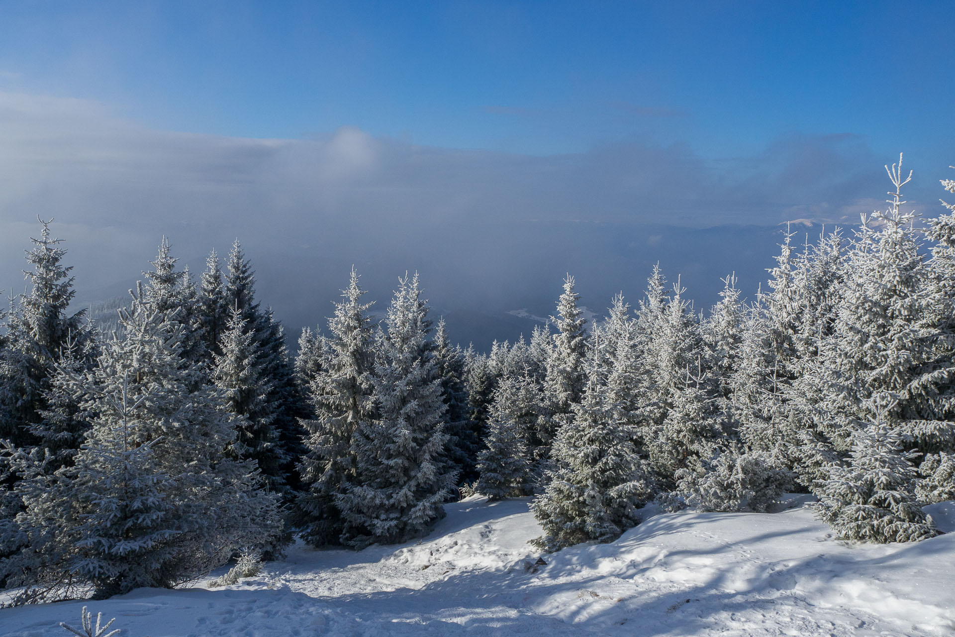 Veľký Choč z Valaskej Dubovej (Chočské vrchy)