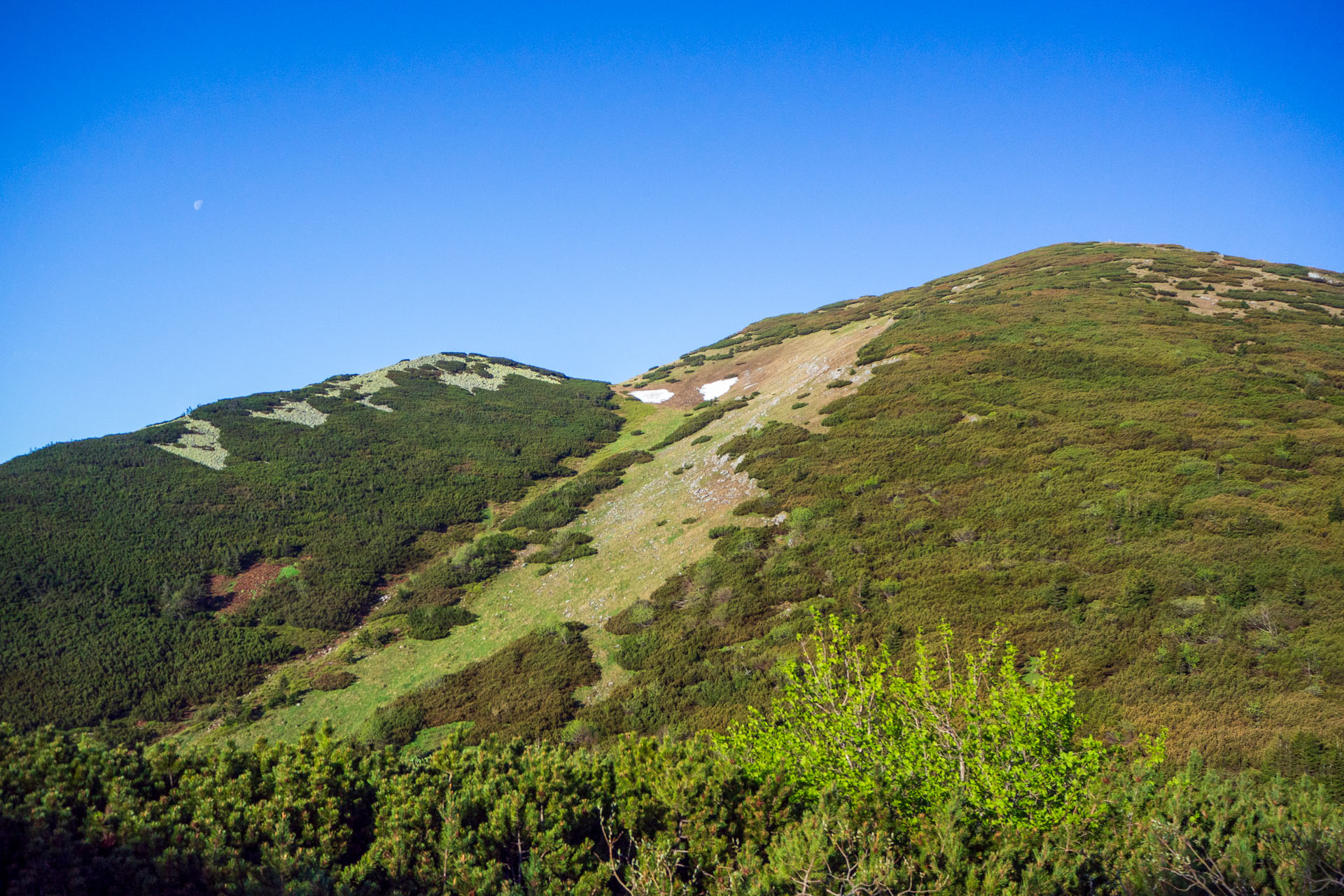 Veľký a Malý Kriváň z Chaty pod Chlebom (Malá Fatra)