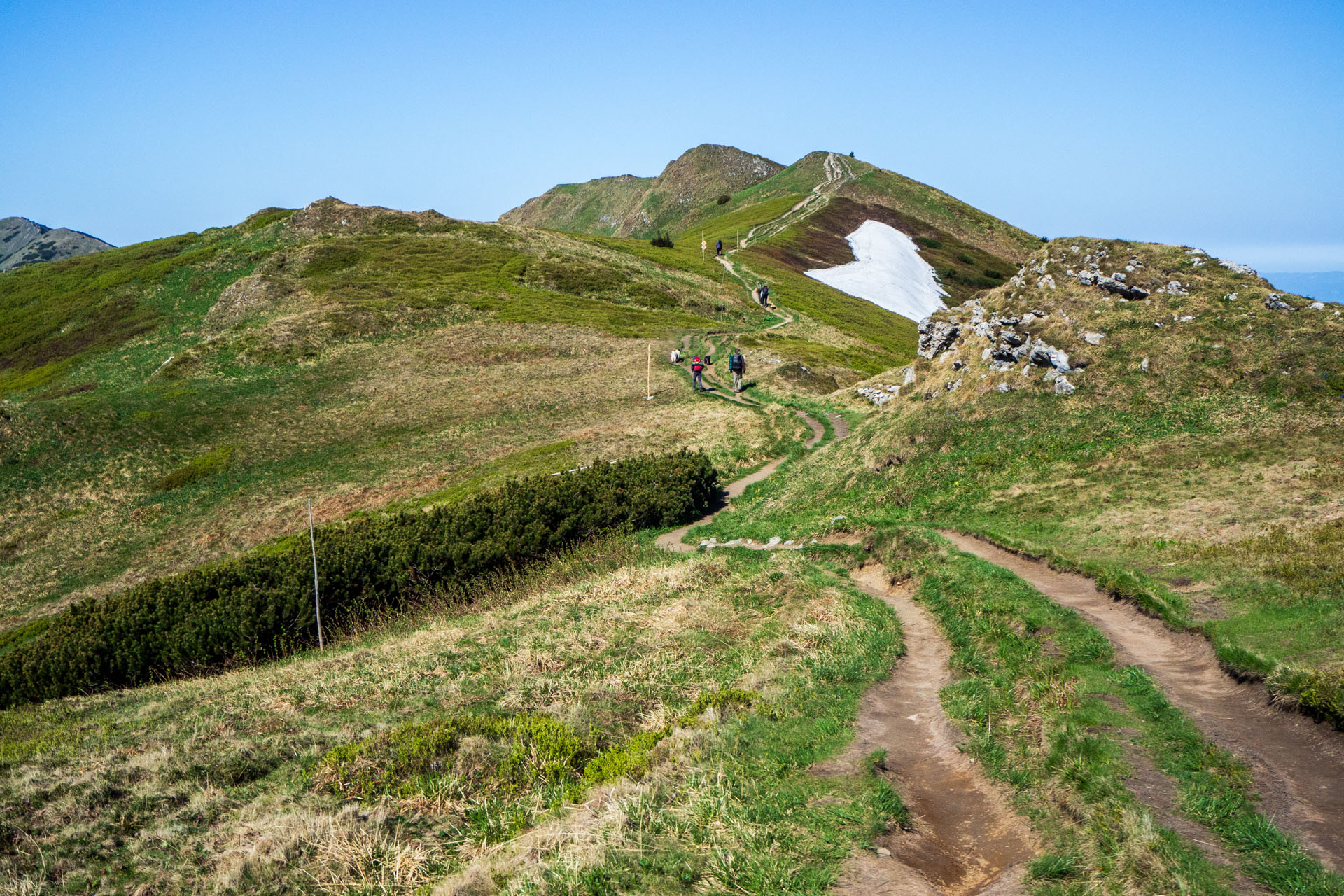 Veľký a Malý Kriváň z Chaty pod Chlebom (Malá Fatra)