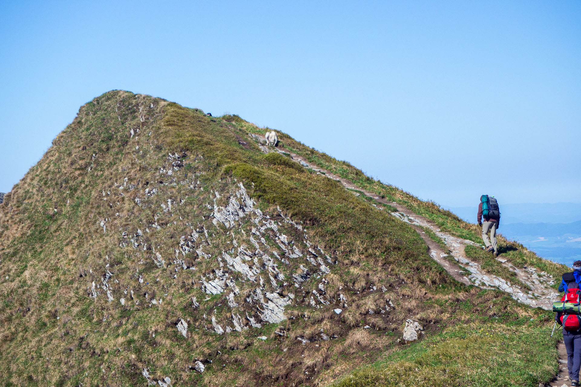 Veľký a Malý Kriváň z Chaty pod Chlebom (Malá Fatra)