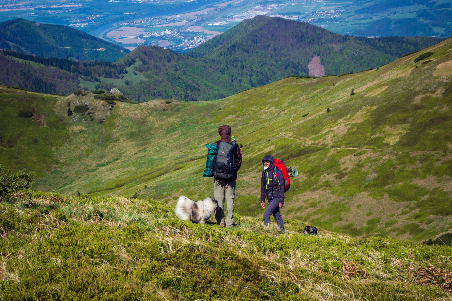 Veľký a Malý Kriváň z Chaty pod Chlebom (Malá Fatra)