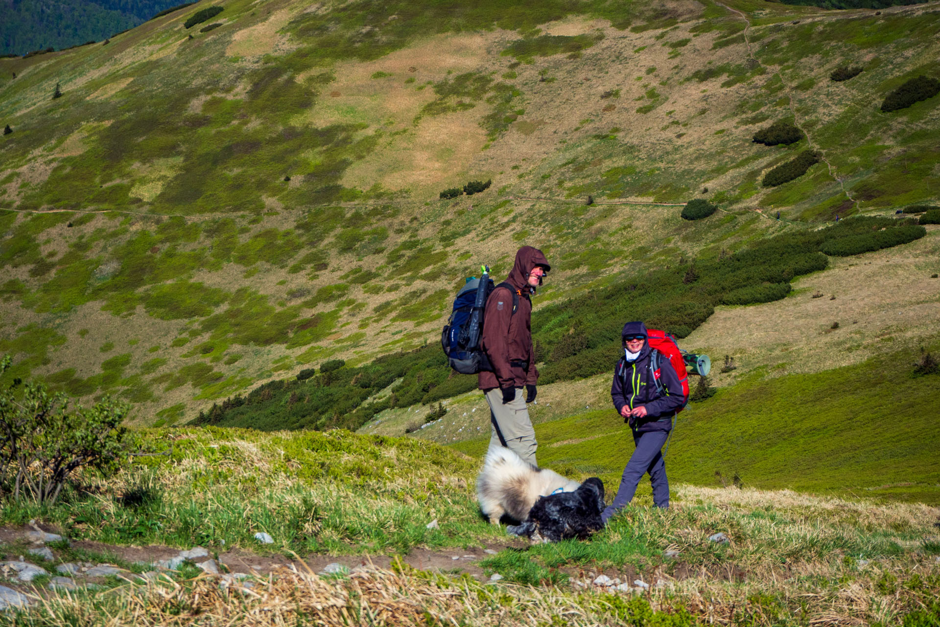 Veľký a Malý Kriváň z Chaty pod Chlebom (Malá Fatra)