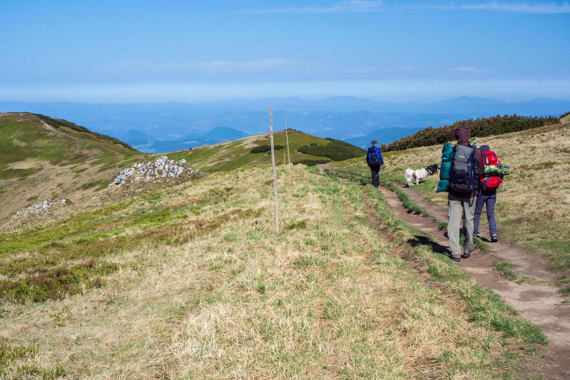 Veľký a Malý Kriváň z Chaty pod Chlebom (Malá Fatra)