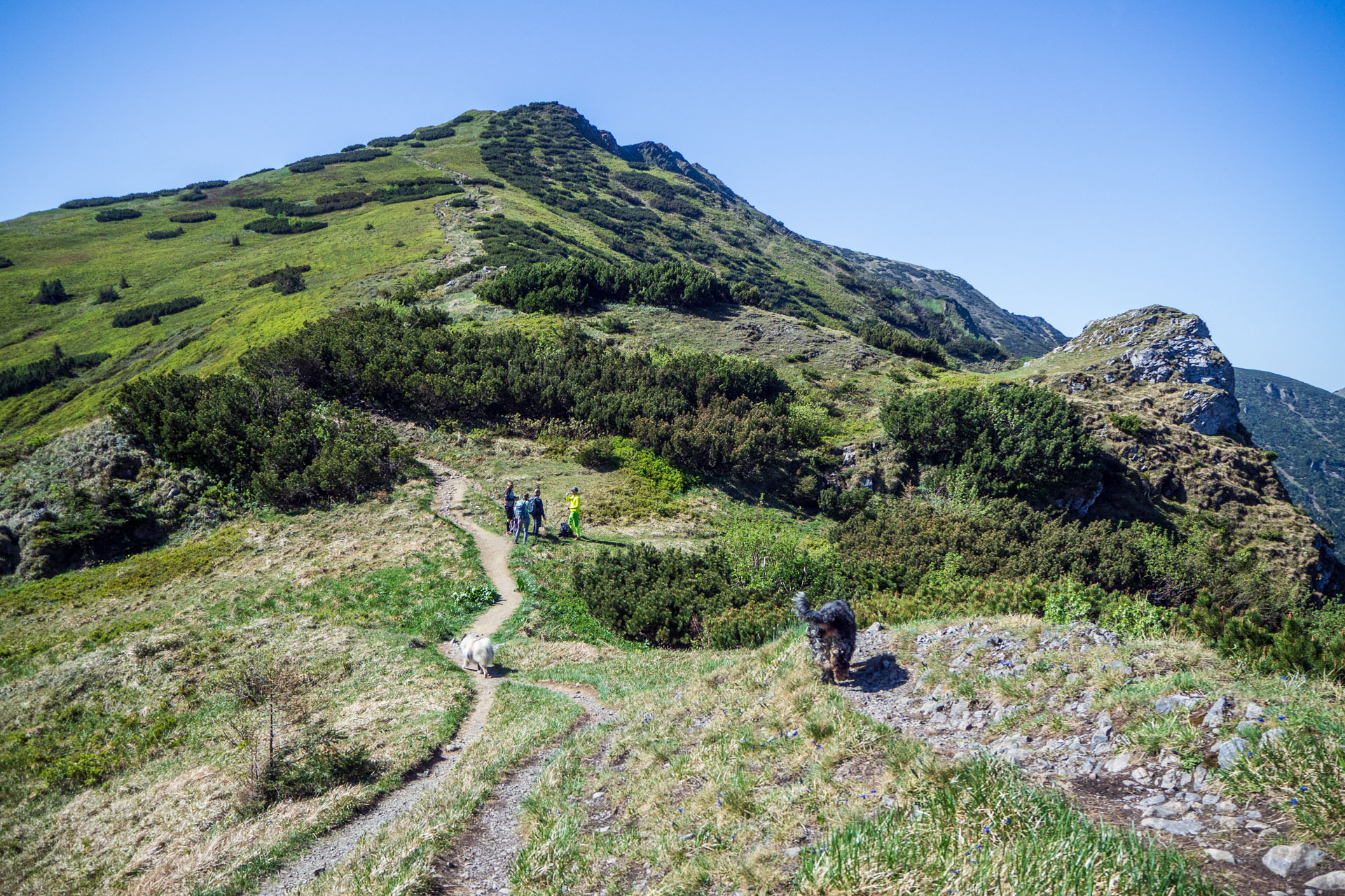 Veľký a Malý Kriváň z Chaty pod Chlebom (Malá Fatra)