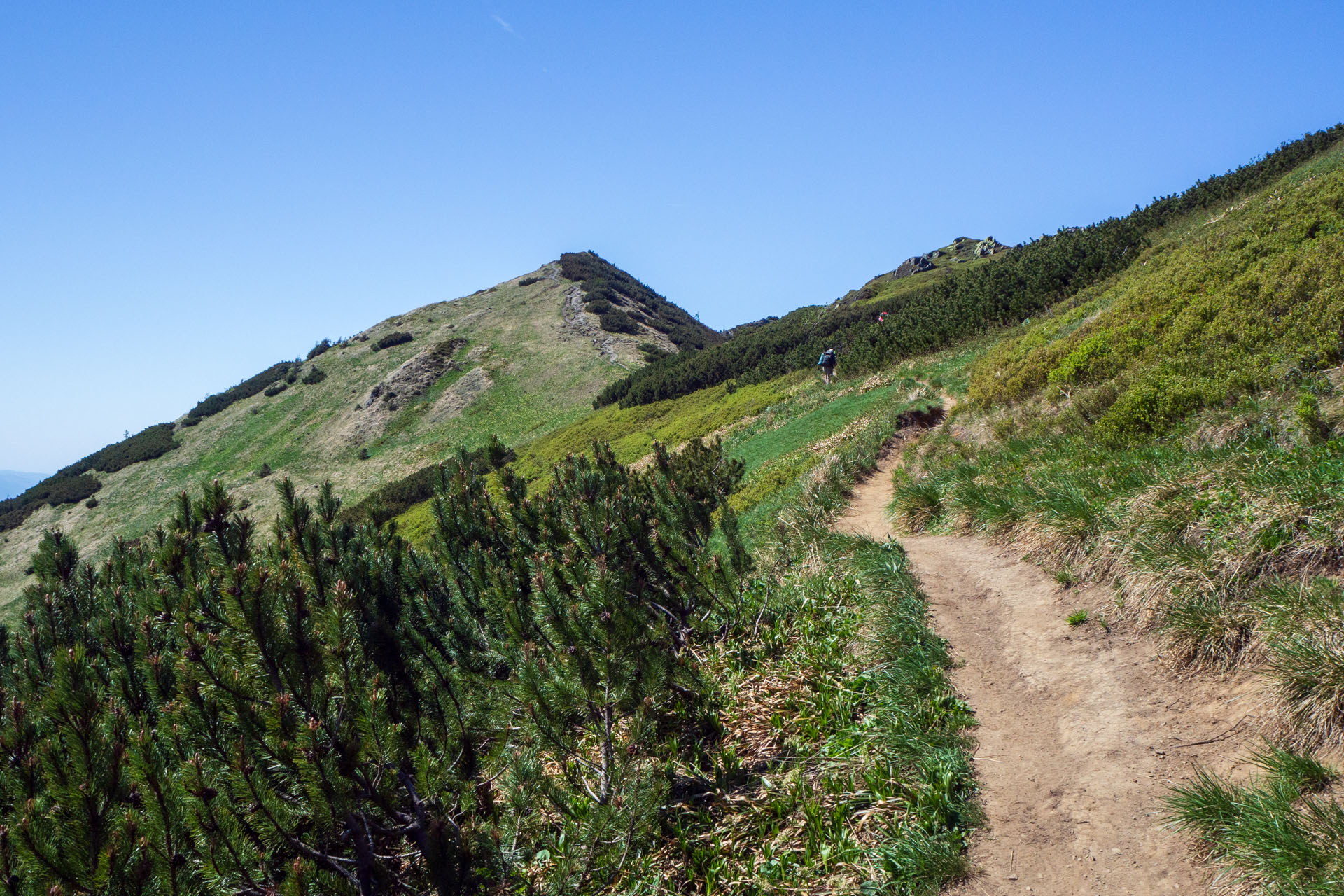 Veľký a Malý Kriváň z Chaty pod Chlebom (Malá Fatra)