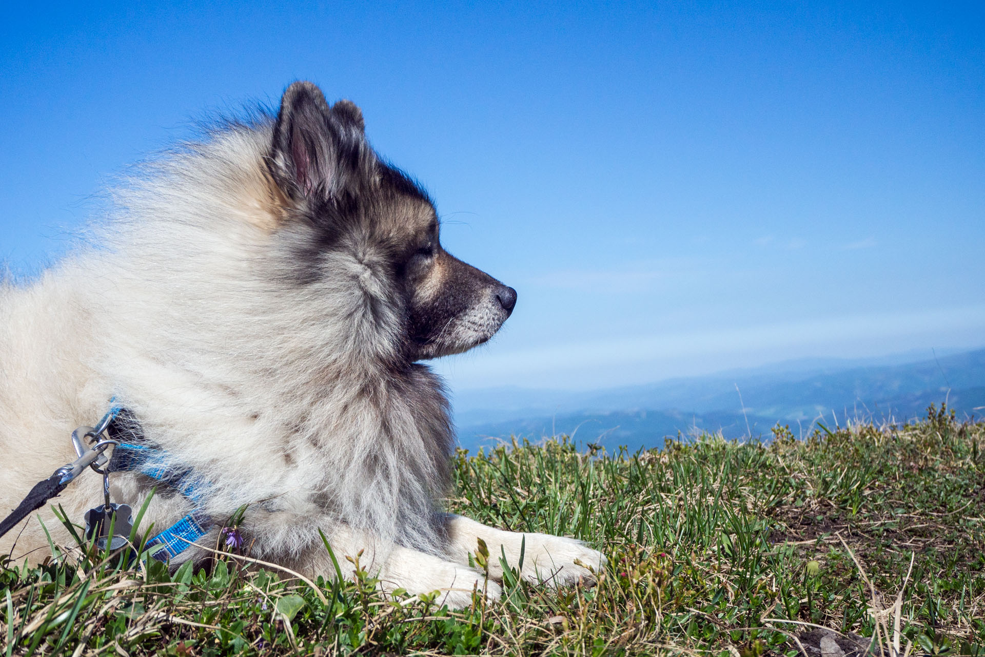 Veľký a Malý Kriváň z Chaty pod Chlebom (Malá Fatra)