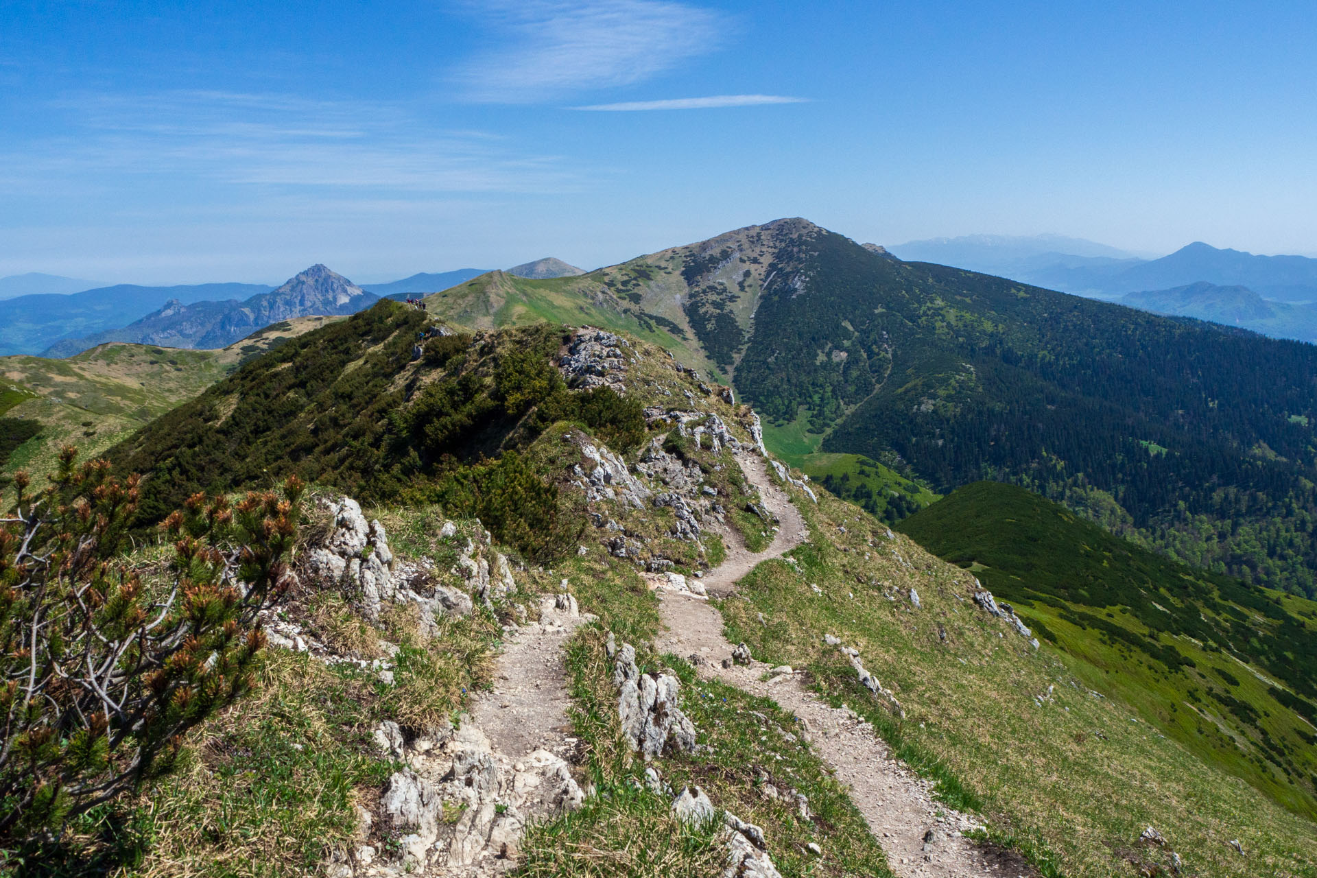 Veľký a Malý Kriváň z Chaty pod Chlebom (Malá Fatra)