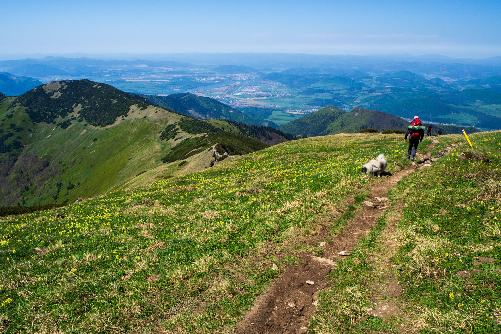 Veľký a Malý Kriváň z Chaty pod Chlebom (Malá Fatra)