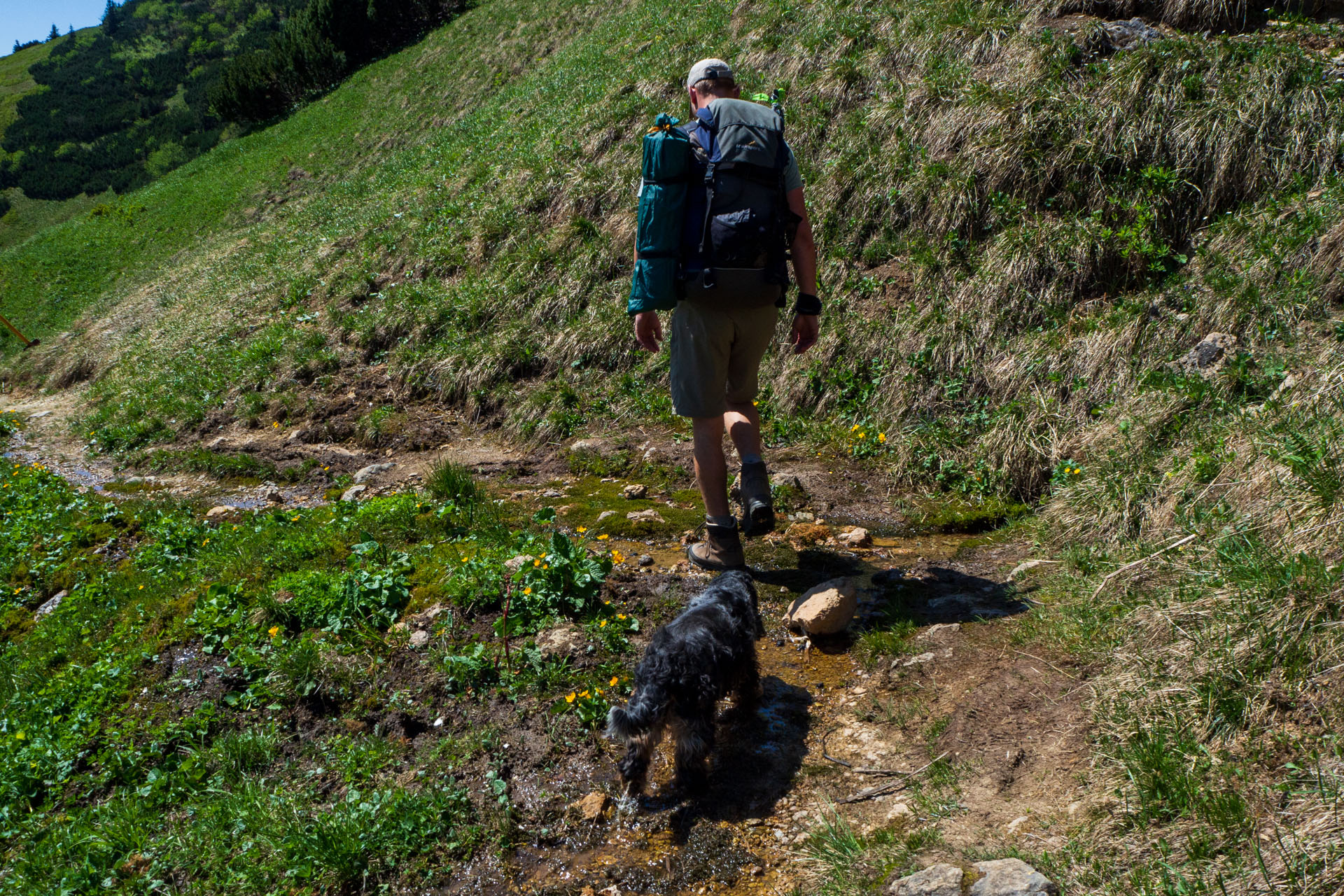 Veľký a Malý Kriváň z Chaty pod Chlebom (Malá Fatra)