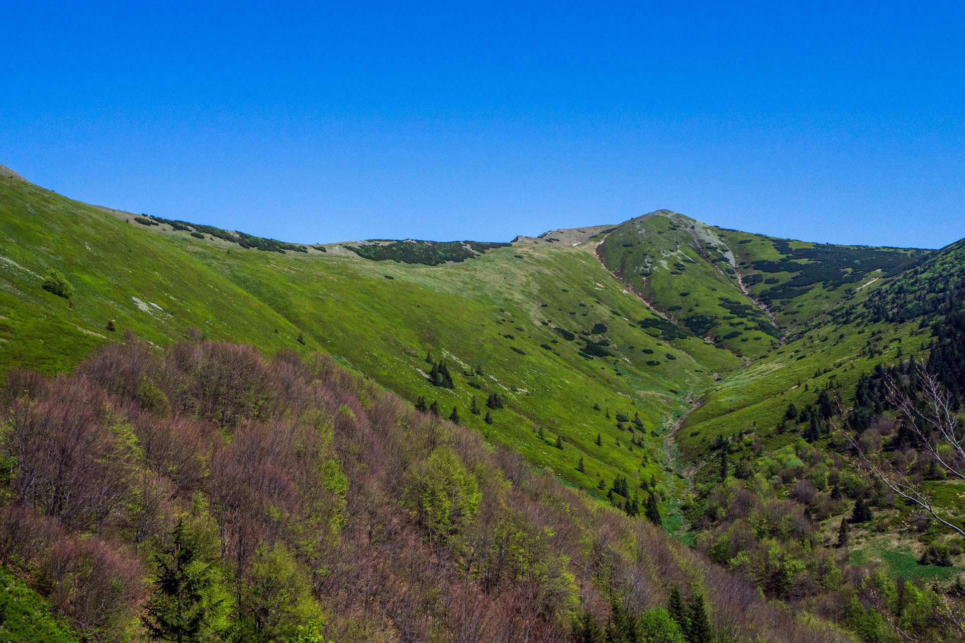 Veľký a Malý Kriváň z Chaty pod Chlebom (Malá Fatra)