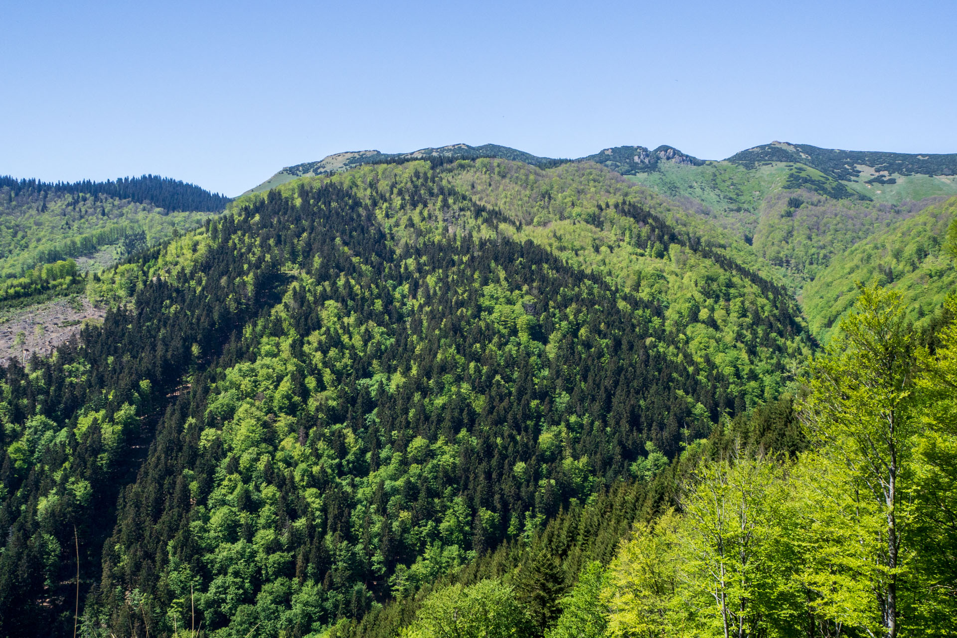 Veľký a Malý Kriváň z Chaty pod Chlebom (Malá Fatra)