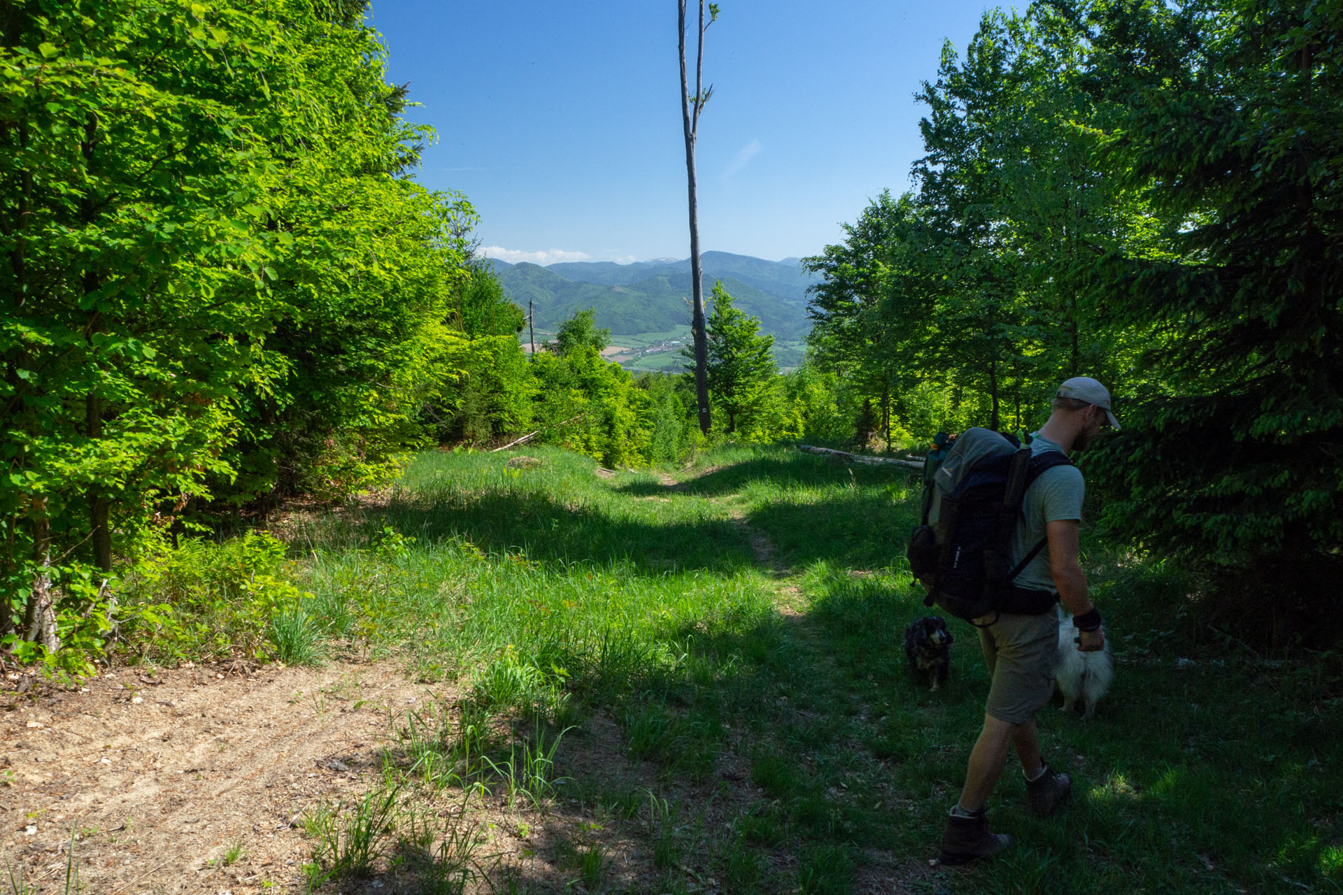 Veľký a Malý Kriváň z Chaty pod Chlebom (Malá Fatra)