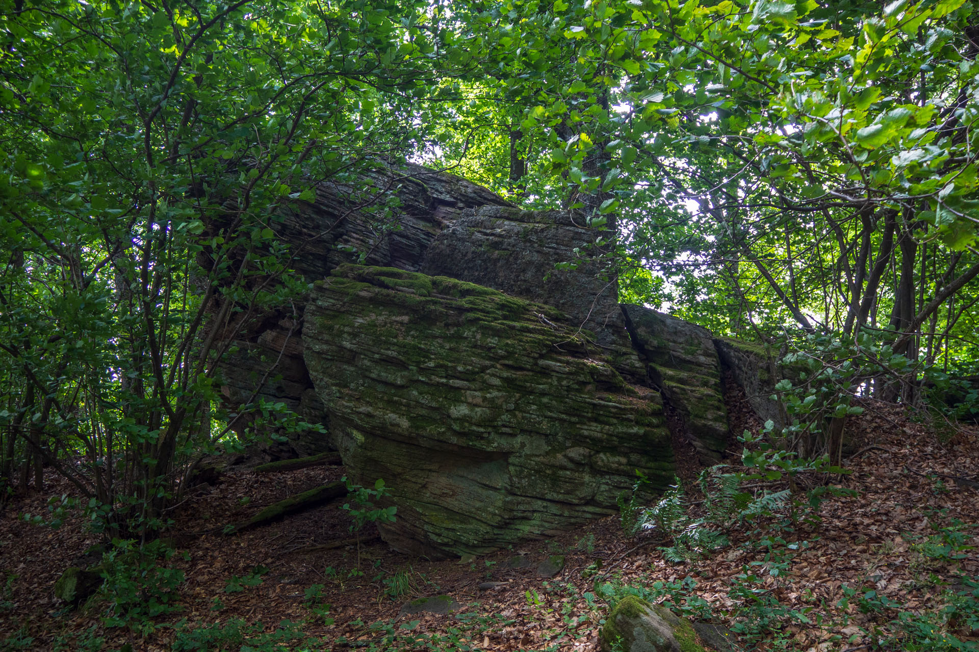 Veľký Milič z Izry (Slanské vrchy)