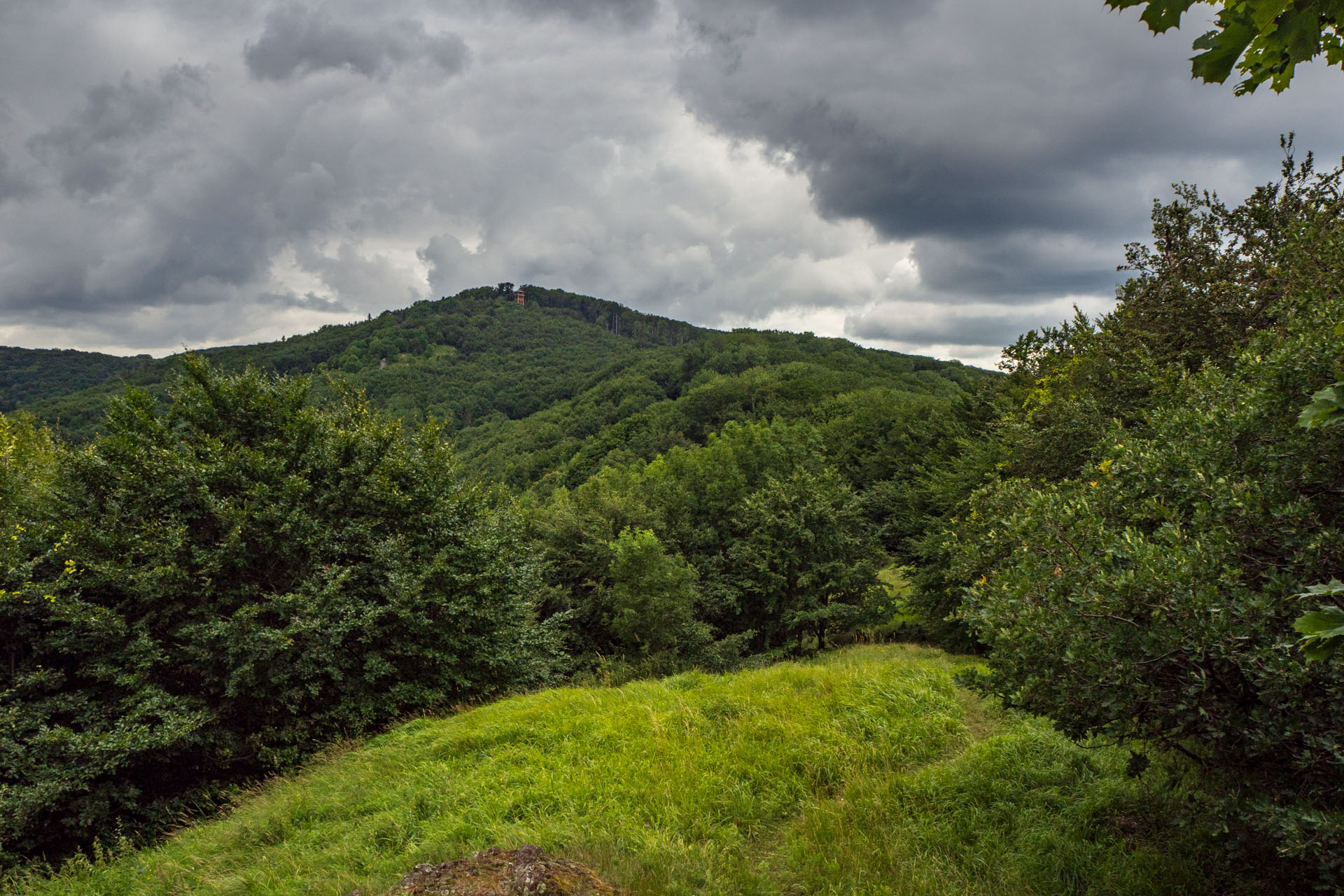 Veľký Milič z Izry (Slanské vrchy)