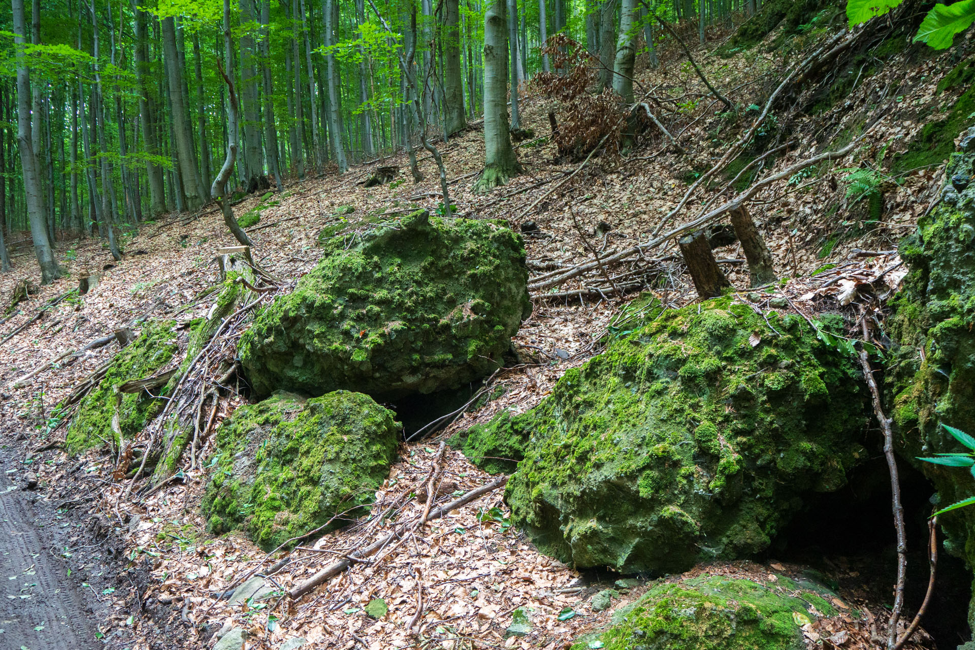 Veľký Milič z Izry (Slanské vrchy)