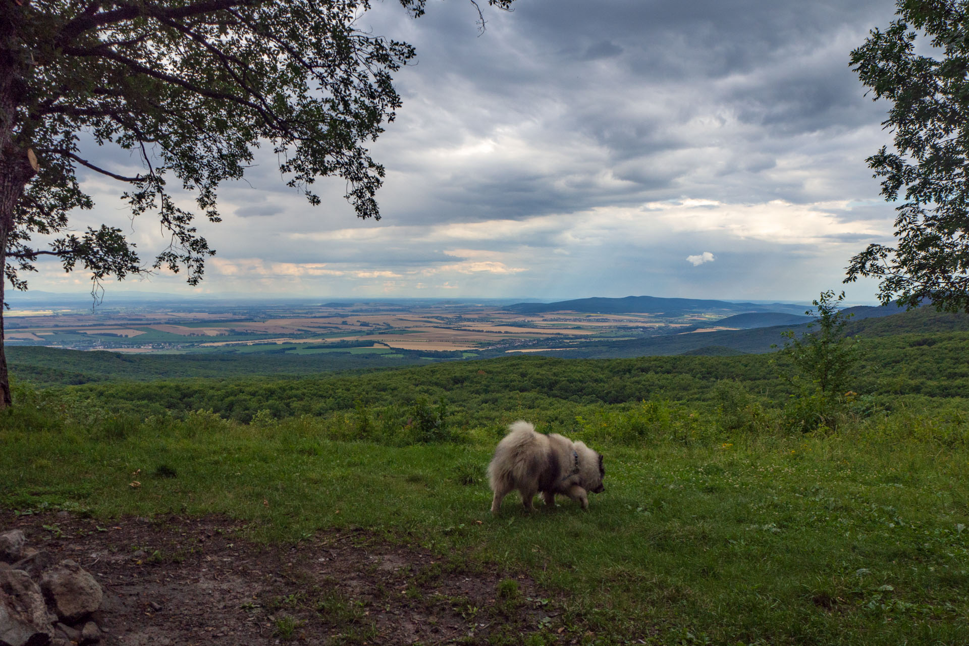 Veľký Milič z Izry (Slanské vrchy)