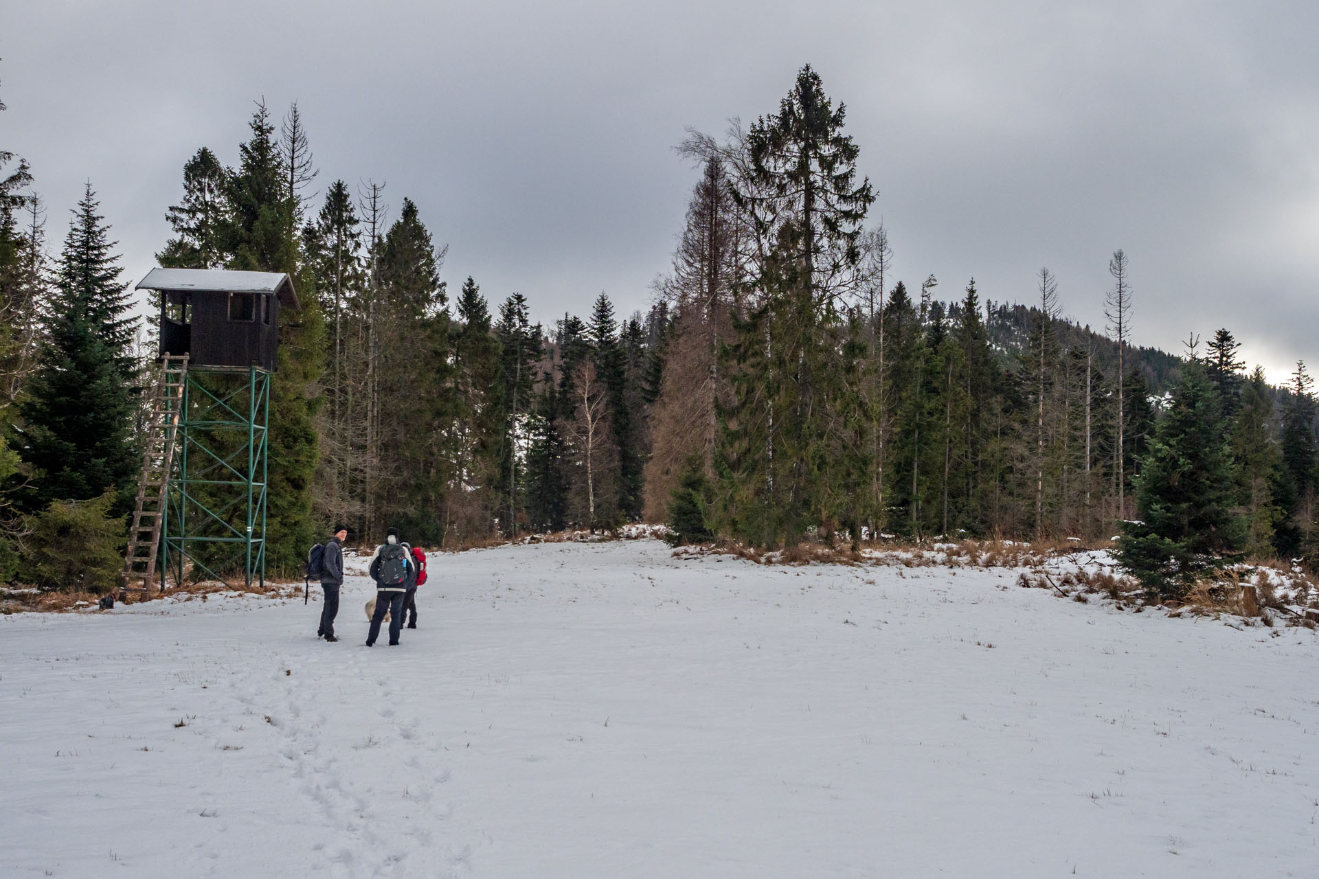 Vianočná kapustnica na Kloptani (Volovské vrchy)