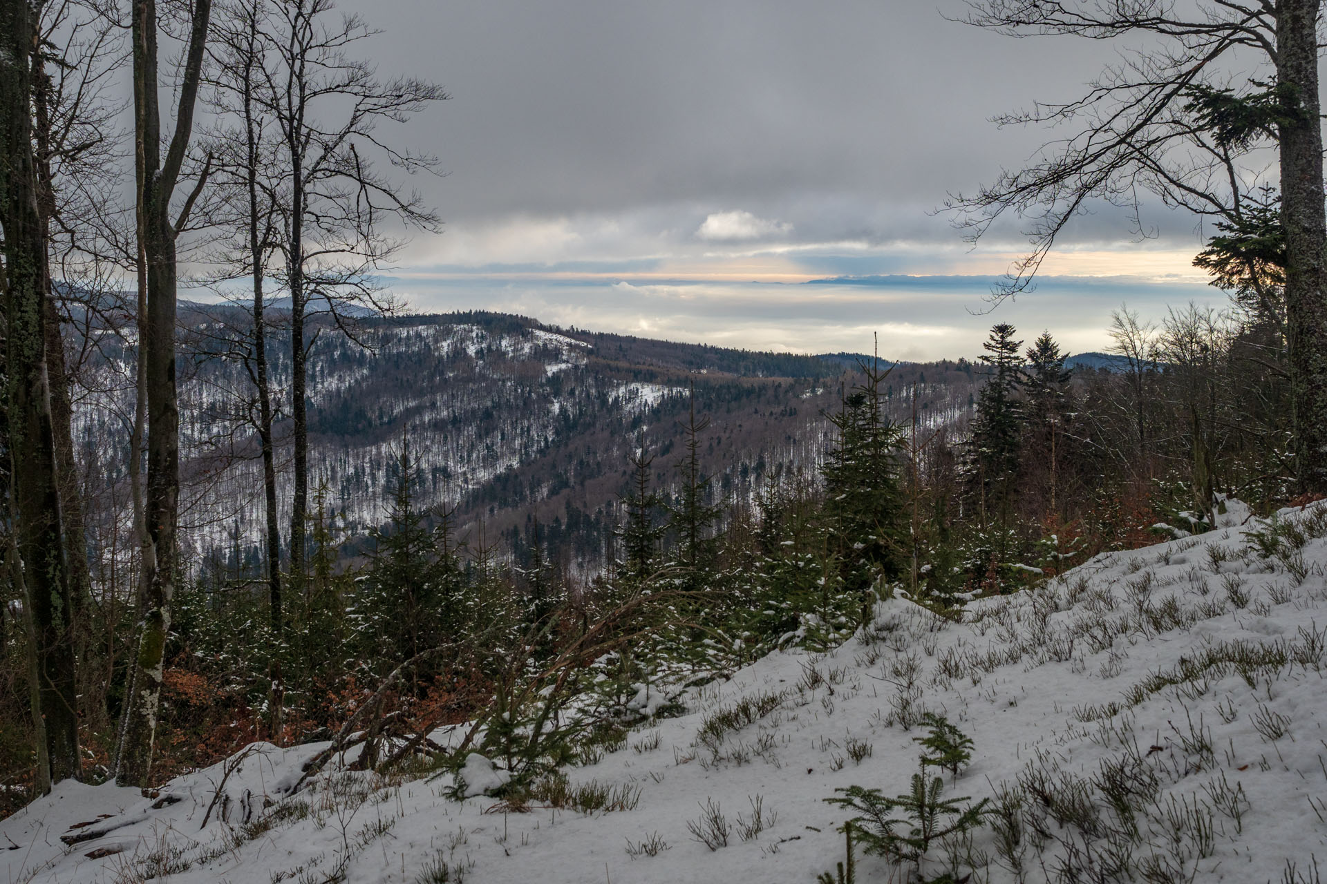 Vianočná kapustnica na Kloptani (Volovské vrchy)