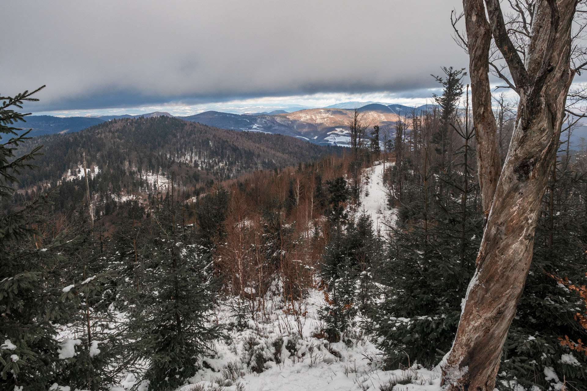 Vianočná kapustnica na Kloptani (Volovské vrchy)