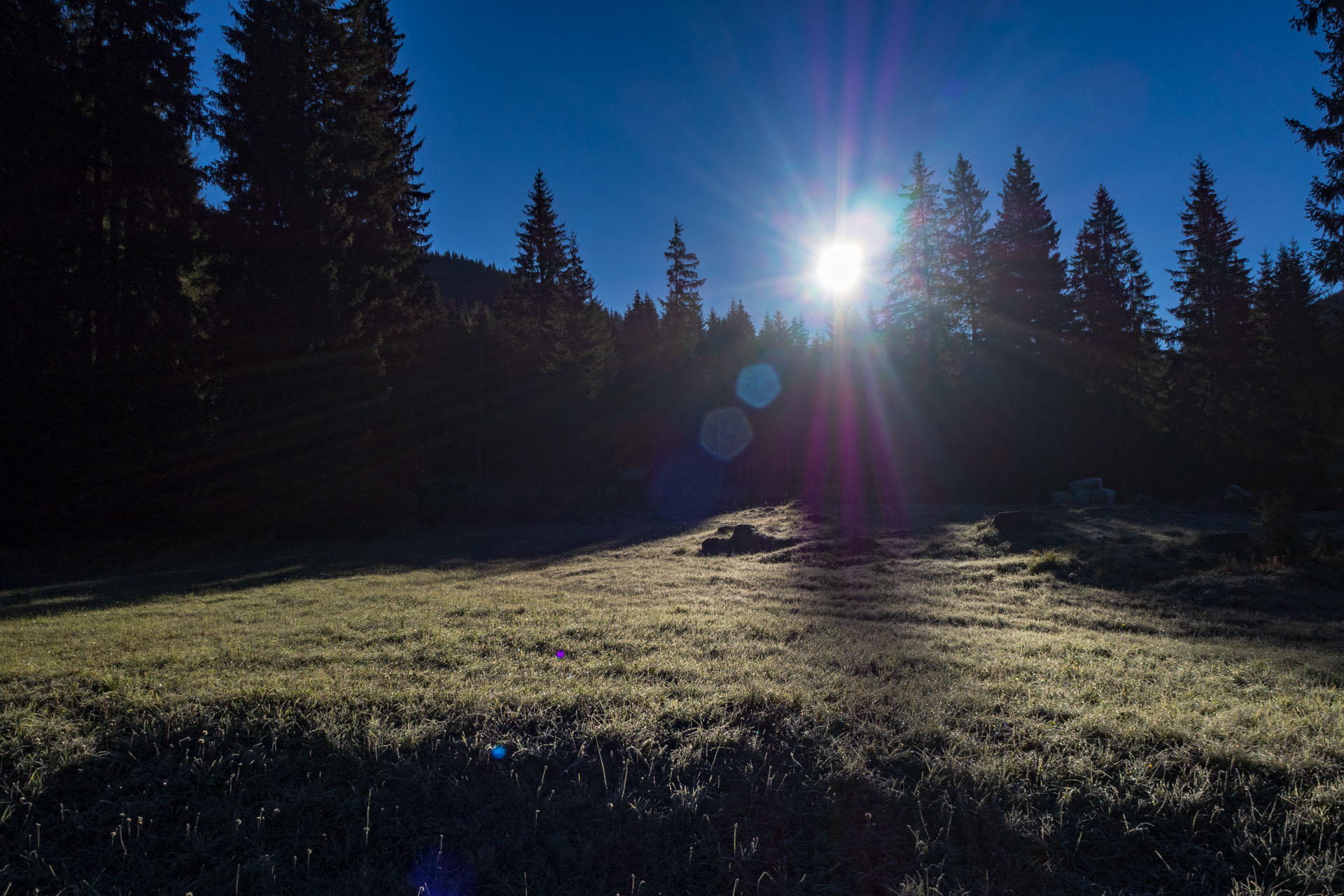 Volovec od Zverovky (Západné Tatry)