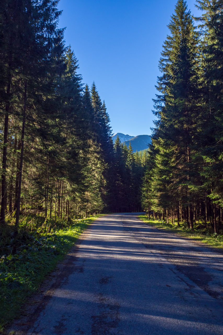 Volovec od Zverovky (Západné Tatry)