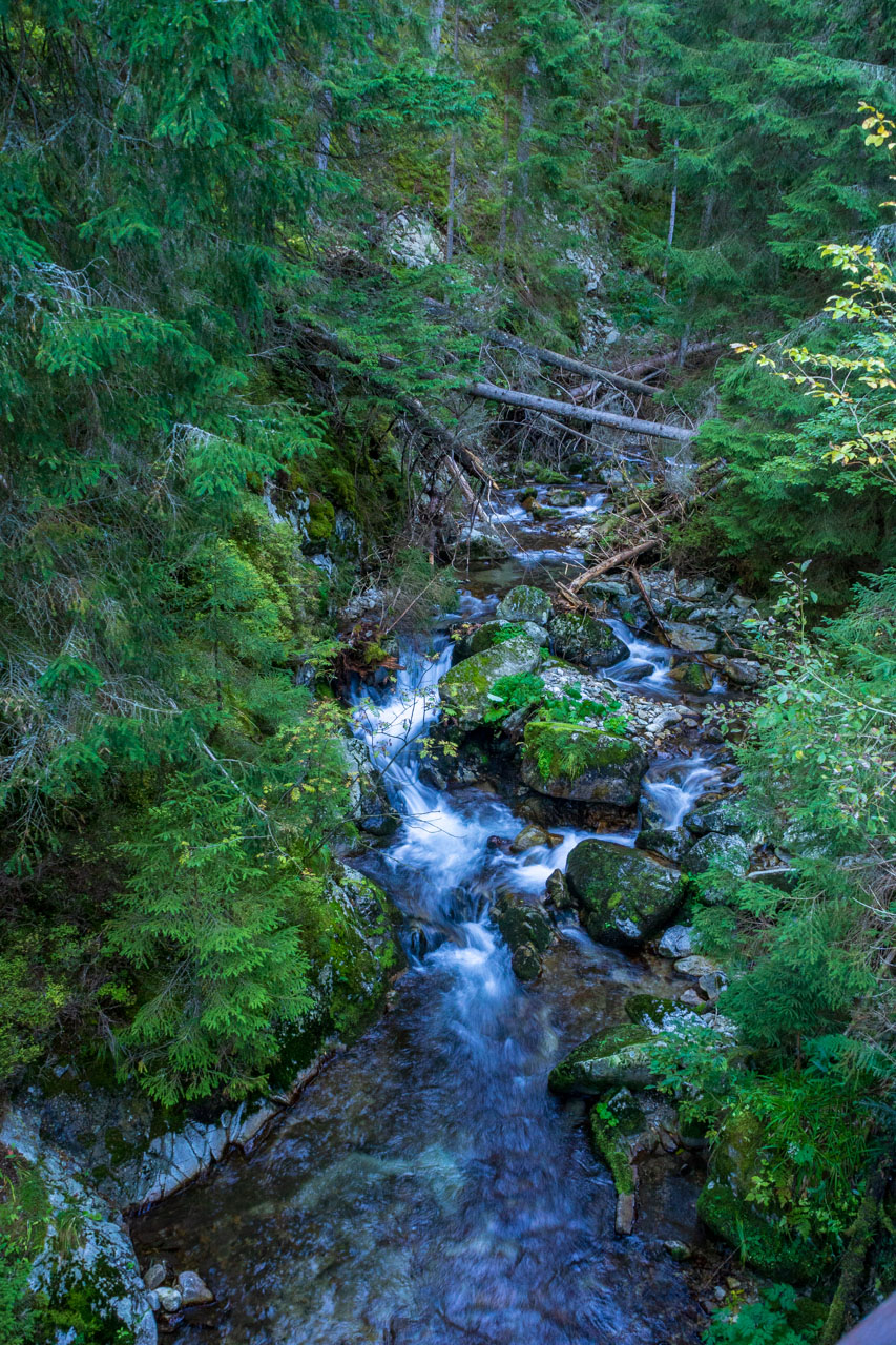 Volovec od Zverovky (Západné Tatry)