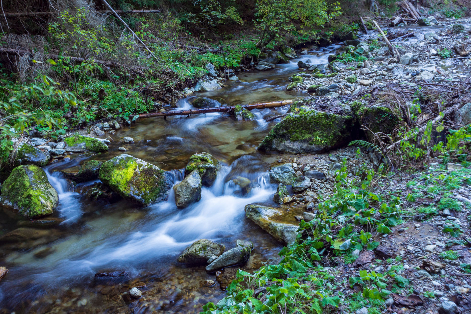 Volovec od Zverovky (Západné Tatry)