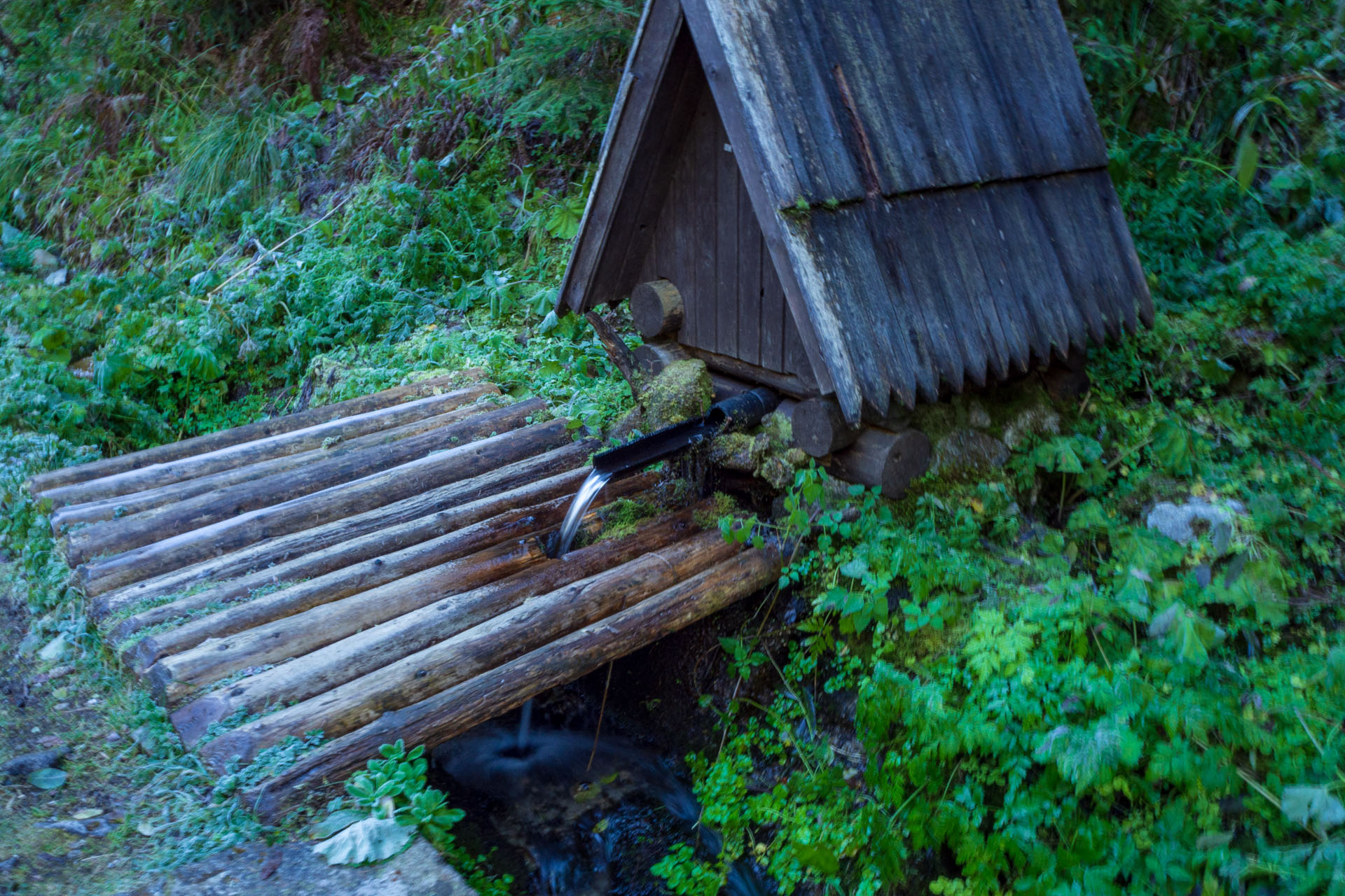 Volovec od Zverovky (Západné Tatry)