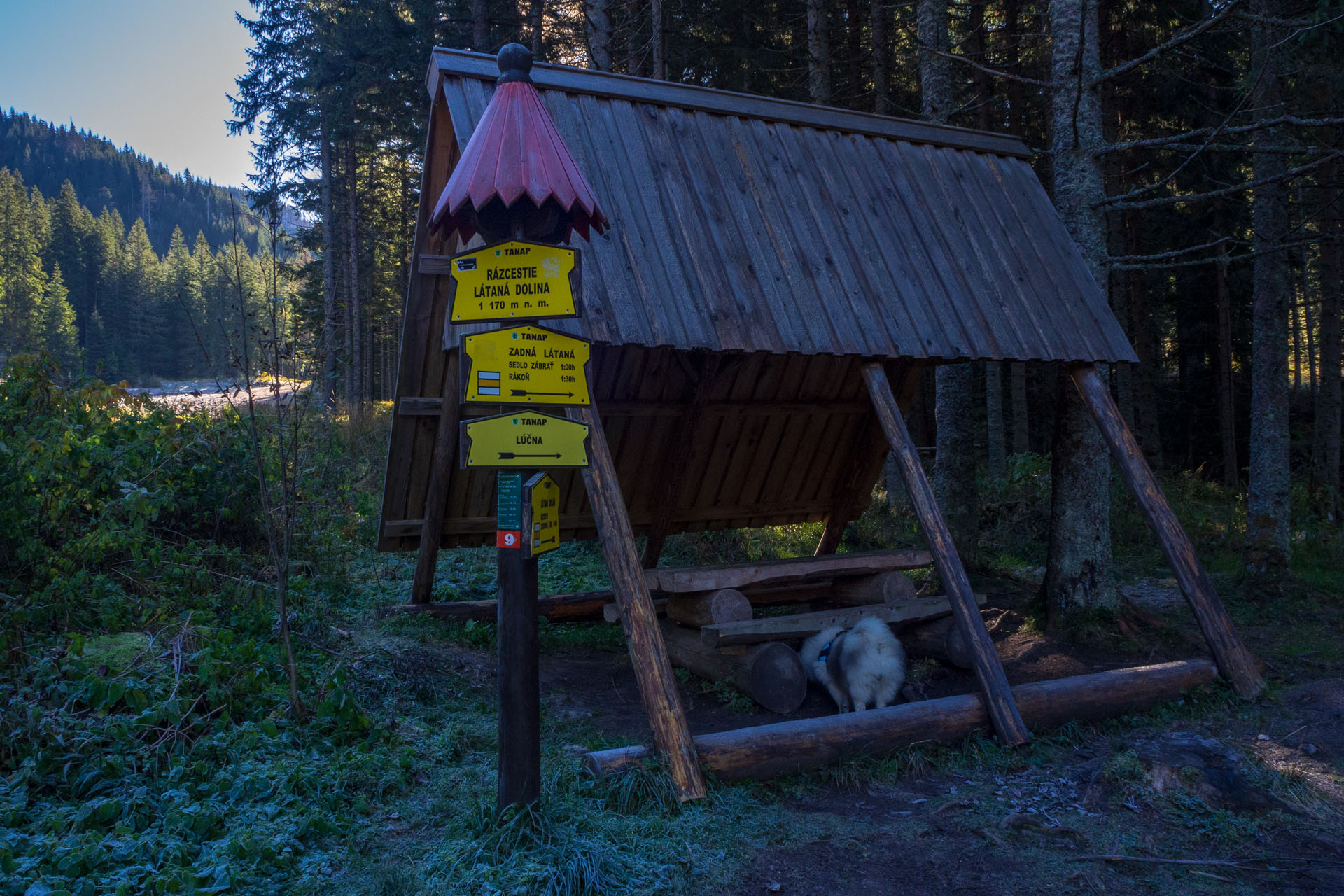 Volovec od Zverovky (Západné Tatry)