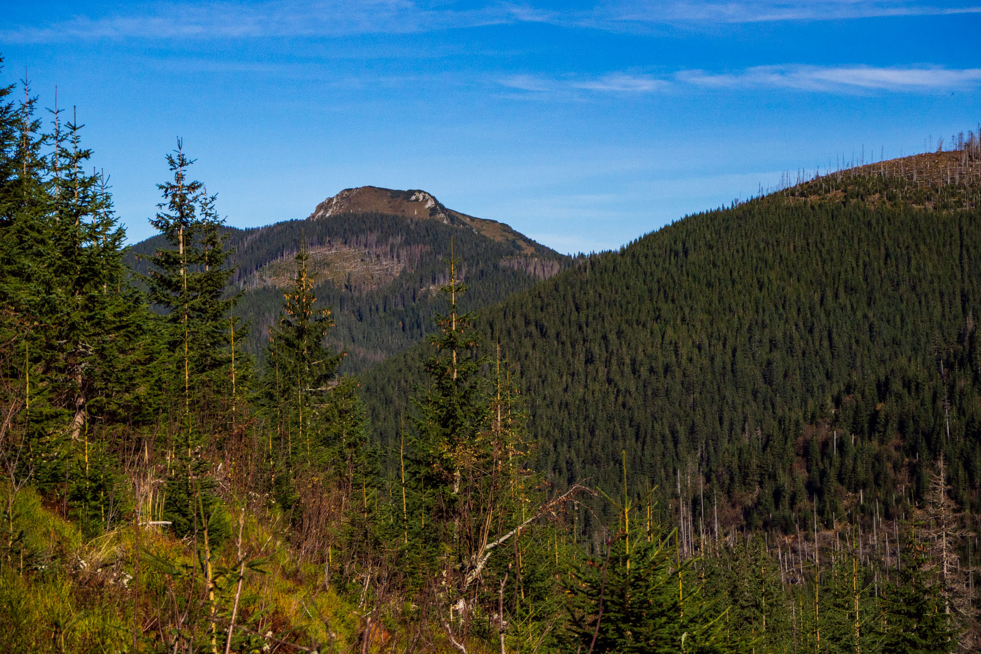 Volovec od Zverovky (Západné Tatry)