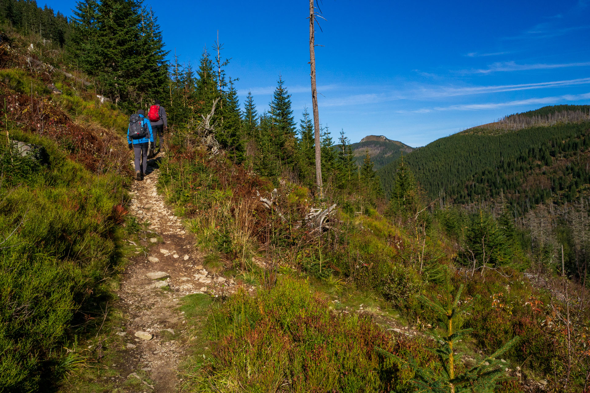 Volovec od Zverovky (Západné Tatry)