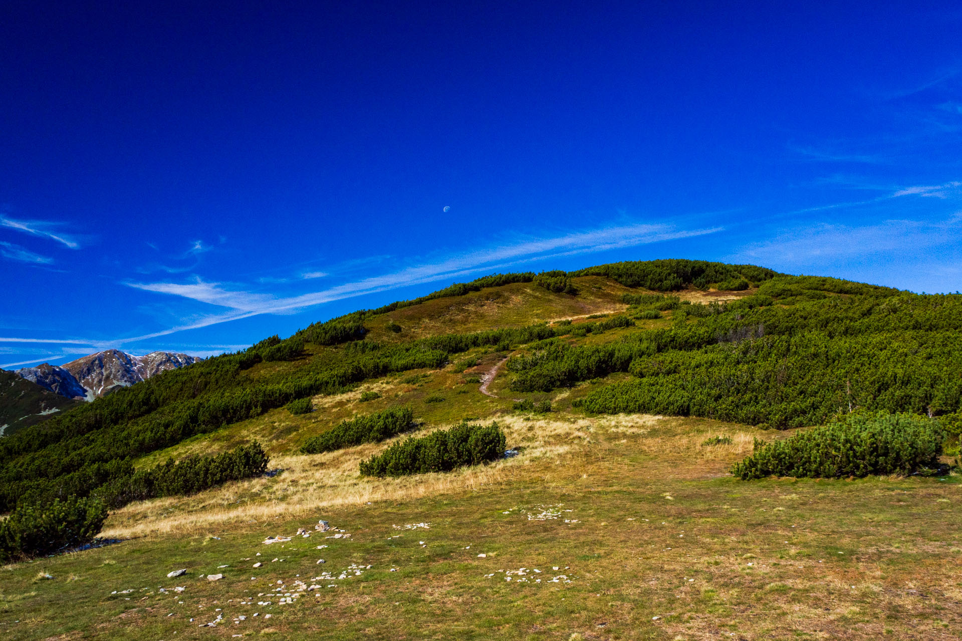 Volovec od Zverovky (Západné Tatry)