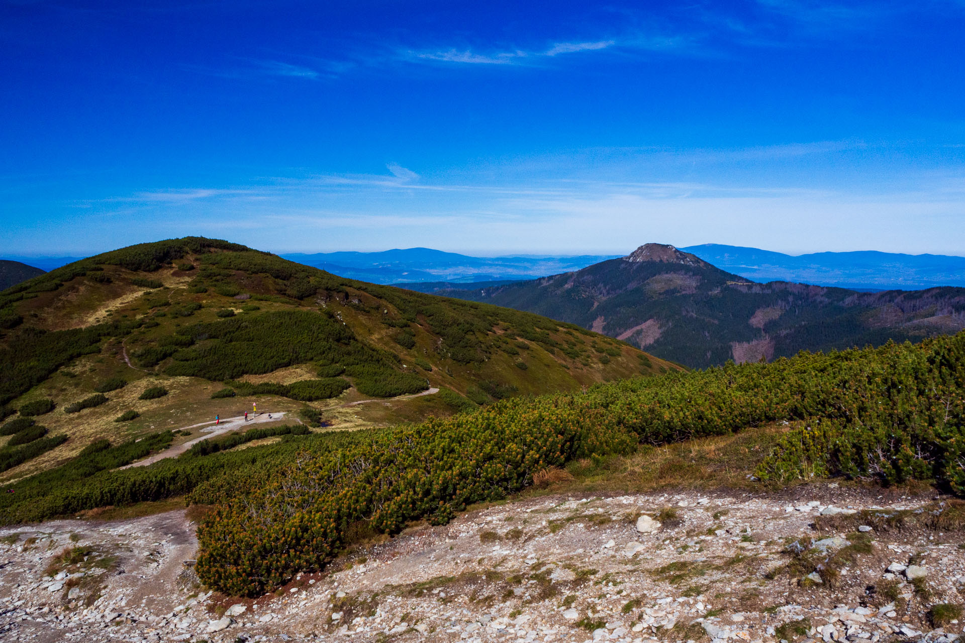 Volovec od Zverovky (Západné Tatry)