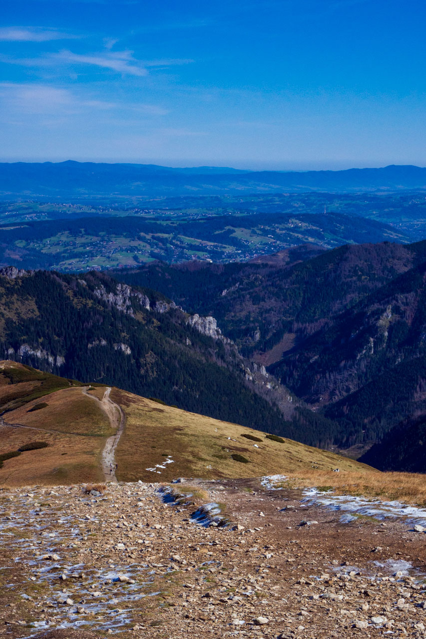 Volovec od Zverovky (Západné Tatry)