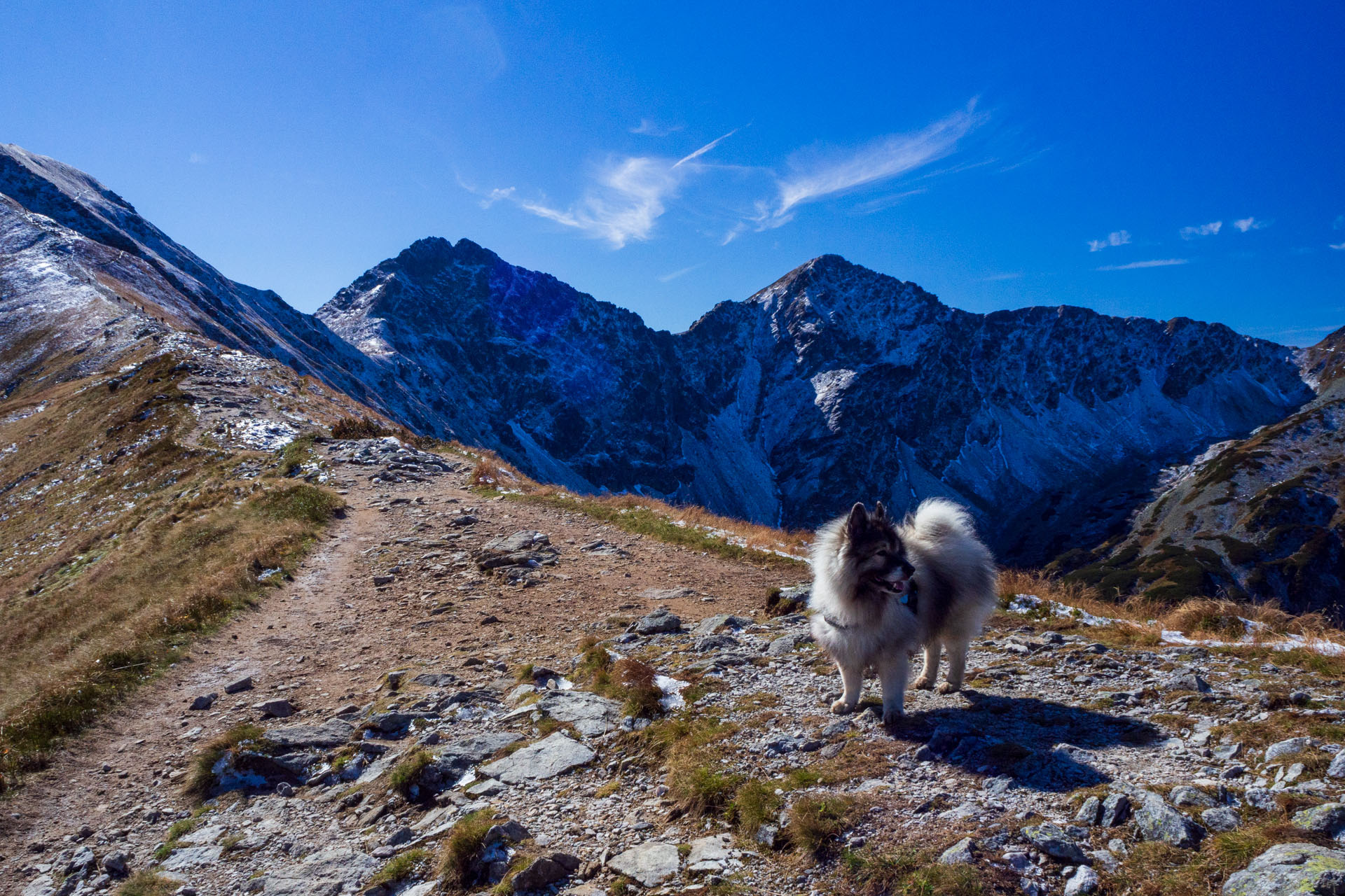 Volovec od Zverovky (Západné Tatry)