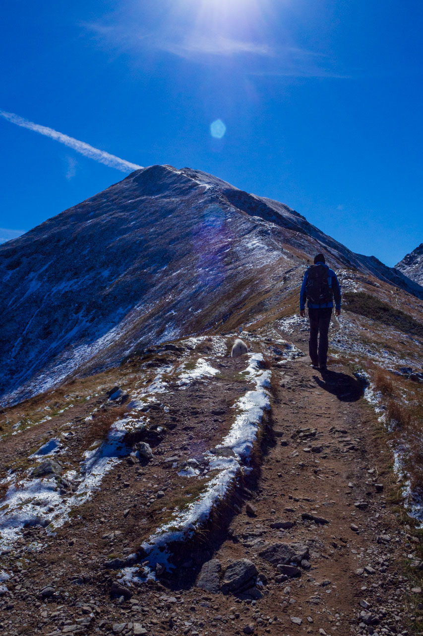 Volovec od Zverovky (Západné Tatry)