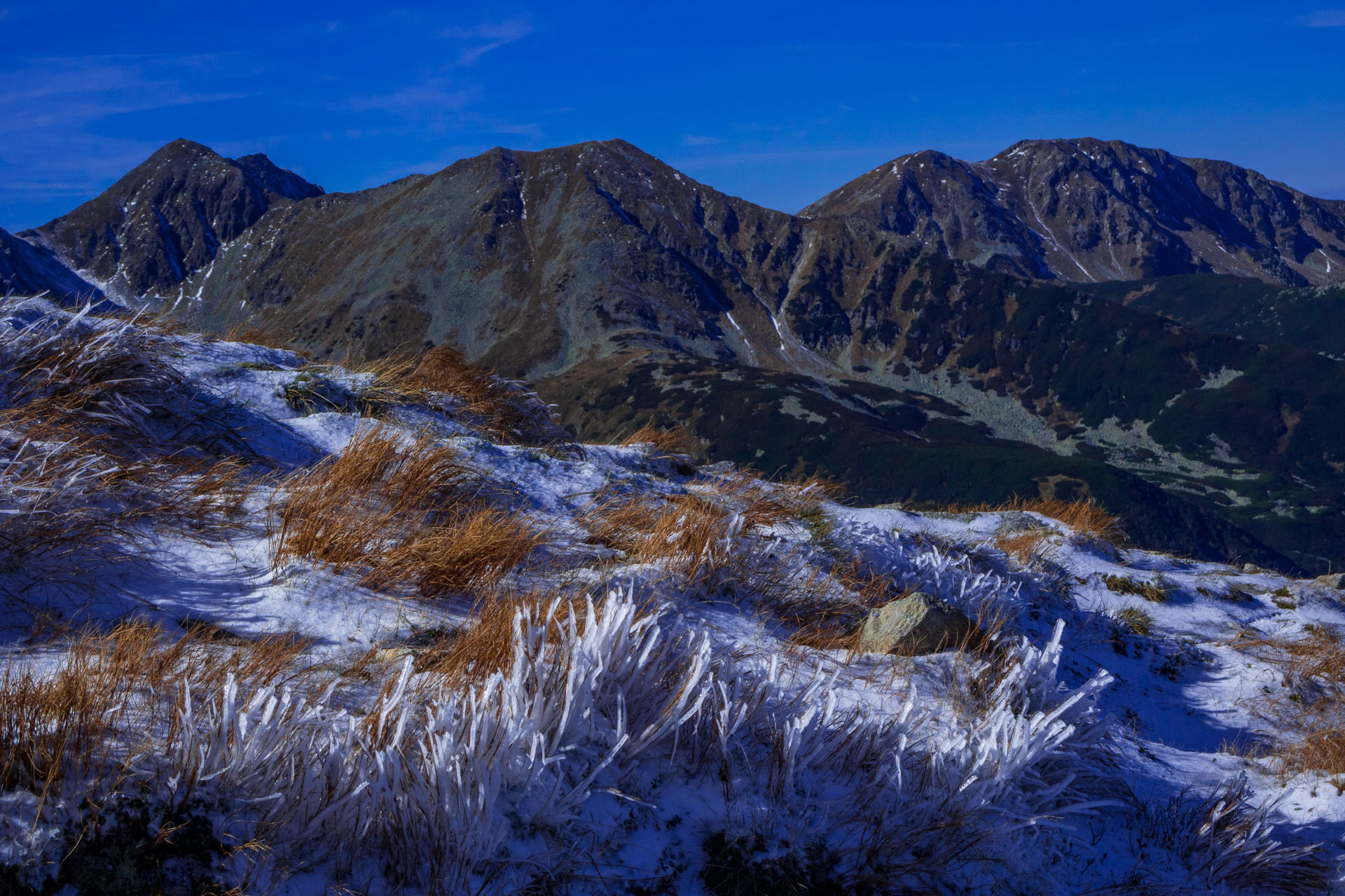 Volovec od Zverovky (Západné Tatry)