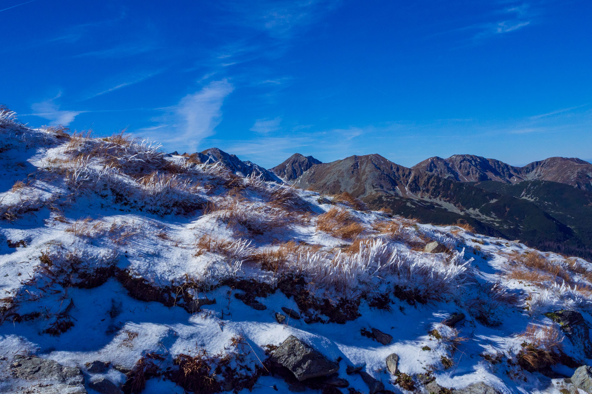 Volovec od Zverovky (Západné Tatry)