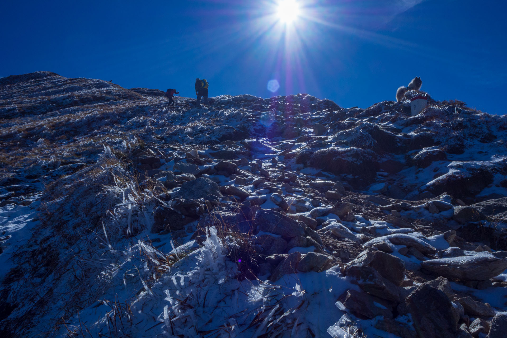 Volovec od Zverovky (Západné Tatry)